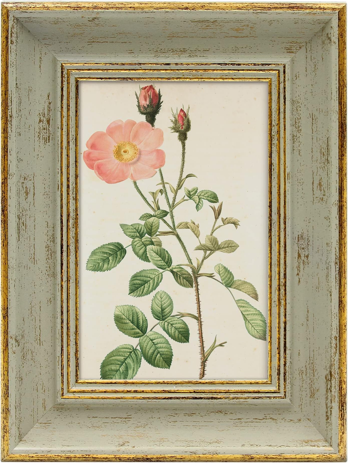 Vintage 4x6 Picture Frame Gold Line Sage Green Distressed Photo Frames Set Antique Real Glass Wall Hanging Tabletop Display Home Decor Retro Shabby Chic Unique Gift