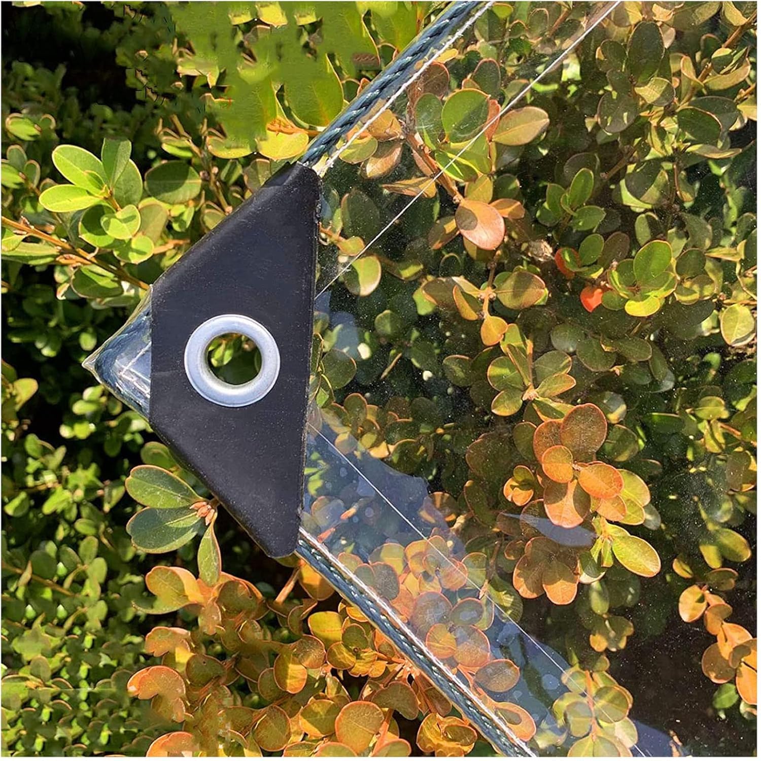 Telone impermeabile trasparente 420g/m², Telo resistente alle intemperie con occhielli, Teloni pieghevoli in PVC da 0,3 mm spessore per Barche, Giardino, auto, Compreso corde e fascette (2X3M)