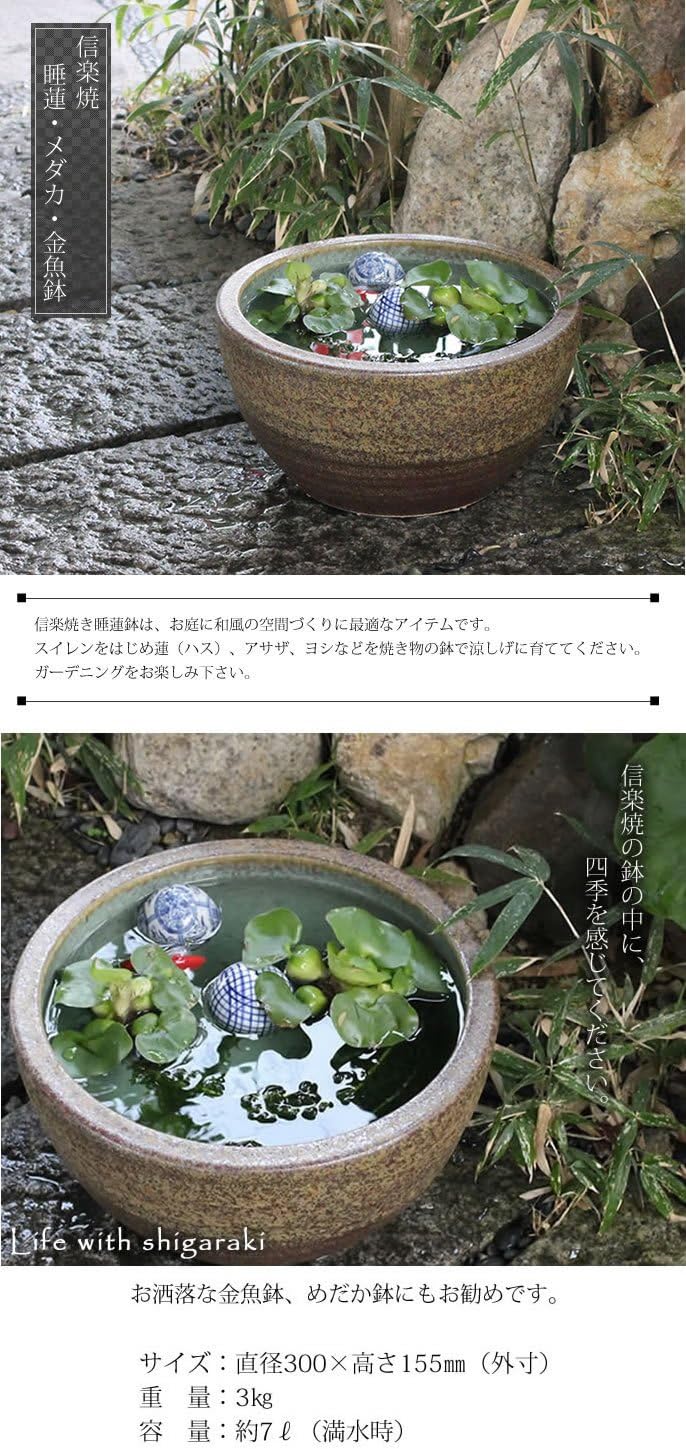 Amazon 信楽焼 10号窯肌 すいれん鉢 メダカ鉢 睡蓮鉢 スイレン鉢 金魚鉢 水鉢 陶器 Su 0140 窯肌色 鉢 Amazon 信楽焼 10号窯肌 すいれん鉢 メダカ鉢 睡蓮鉢 スイレン鉢 金魚鉢 水鉢 陶器 Su 0140 窯肌色 鉢