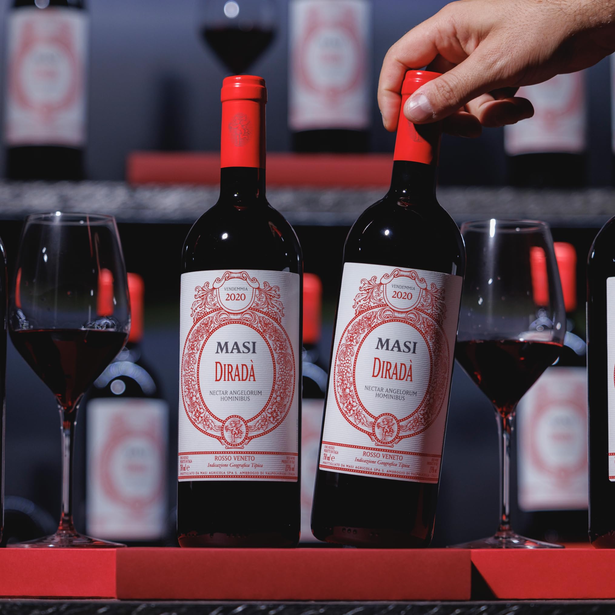 MASI "DIRADÀ ROSSO" 2023 | Vino Rosso Veneto IGT | 6x750 ml | Appassimento Expertise | Emballage de 6 bouteilles