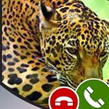 $ You can set fake Jaguar fake phone numbers photo