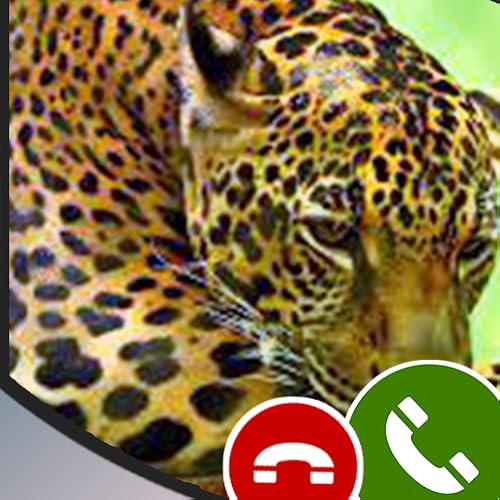 Fake call from Jaguar -Free Prank
