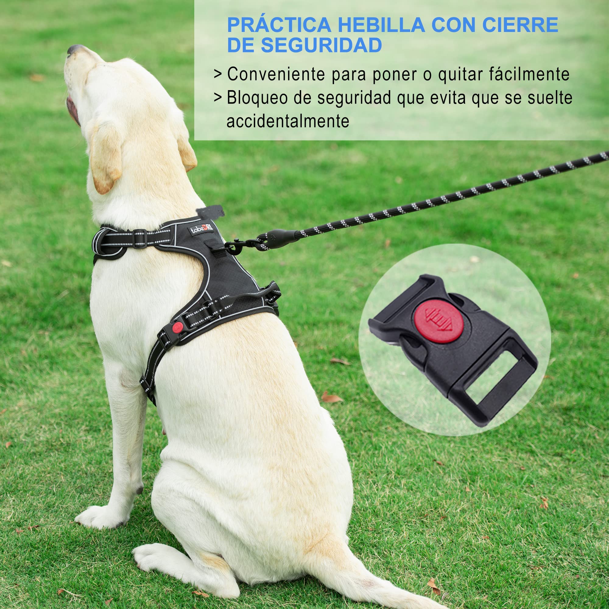 haapaw Arnés para Perro sin Tirar, Ajustable, Reflectante Oxford, fácil de controlar, Mediano y Grande, con una Correa para Perro Resistente