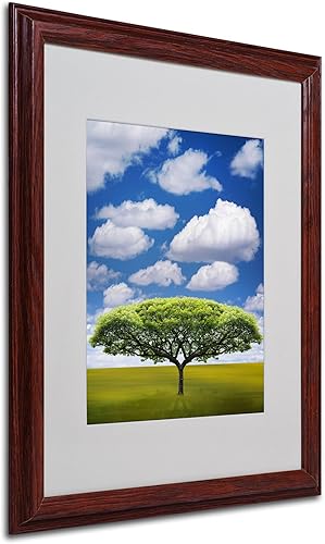 Miniatura 6 de Philippe Sainte-Laudy - Lienzo decorativo para pared (marco de madera, 11.0 x 13.8in)