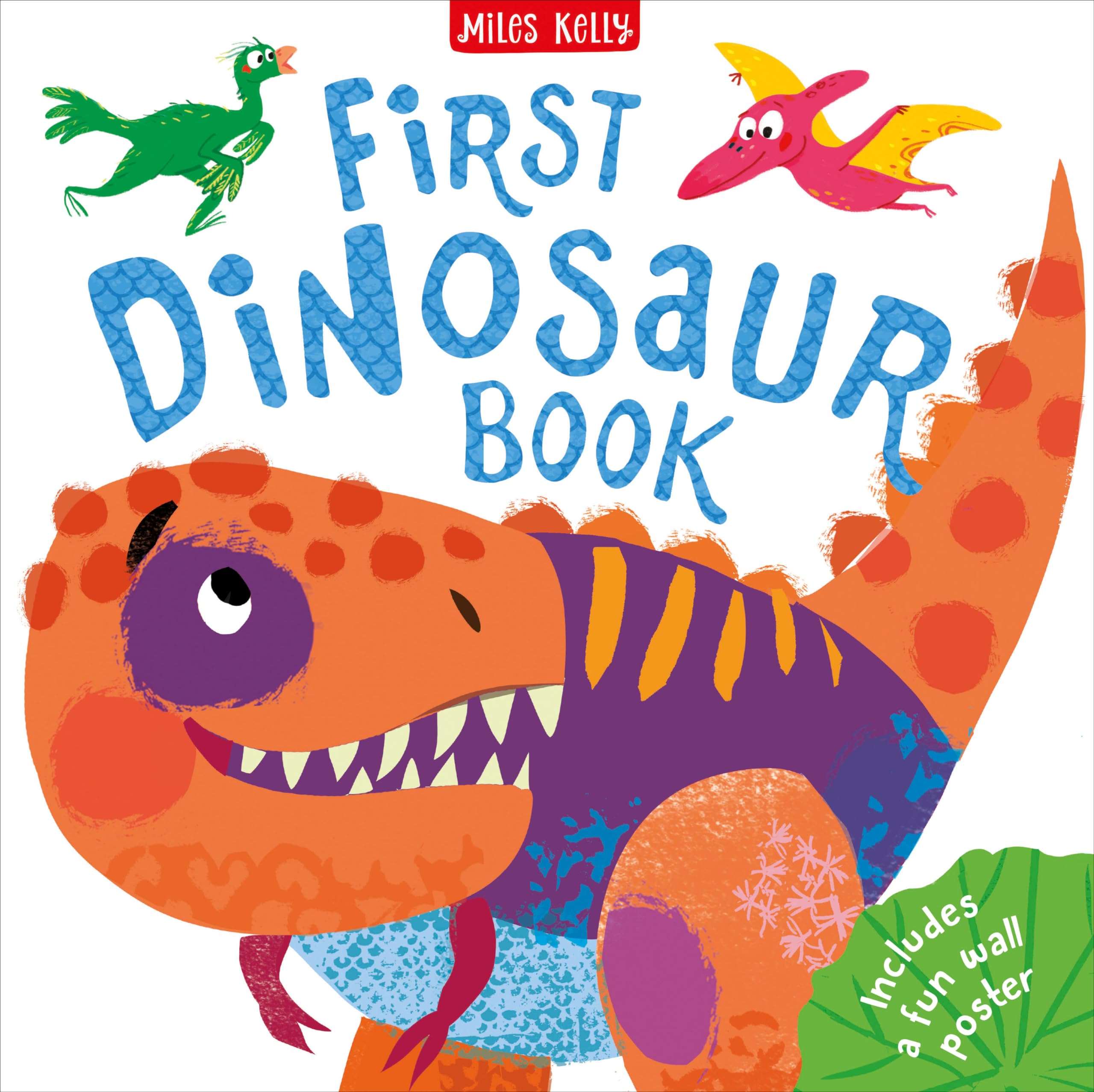 First Dinosaur Book by Clive Gifford (Hardback Book)