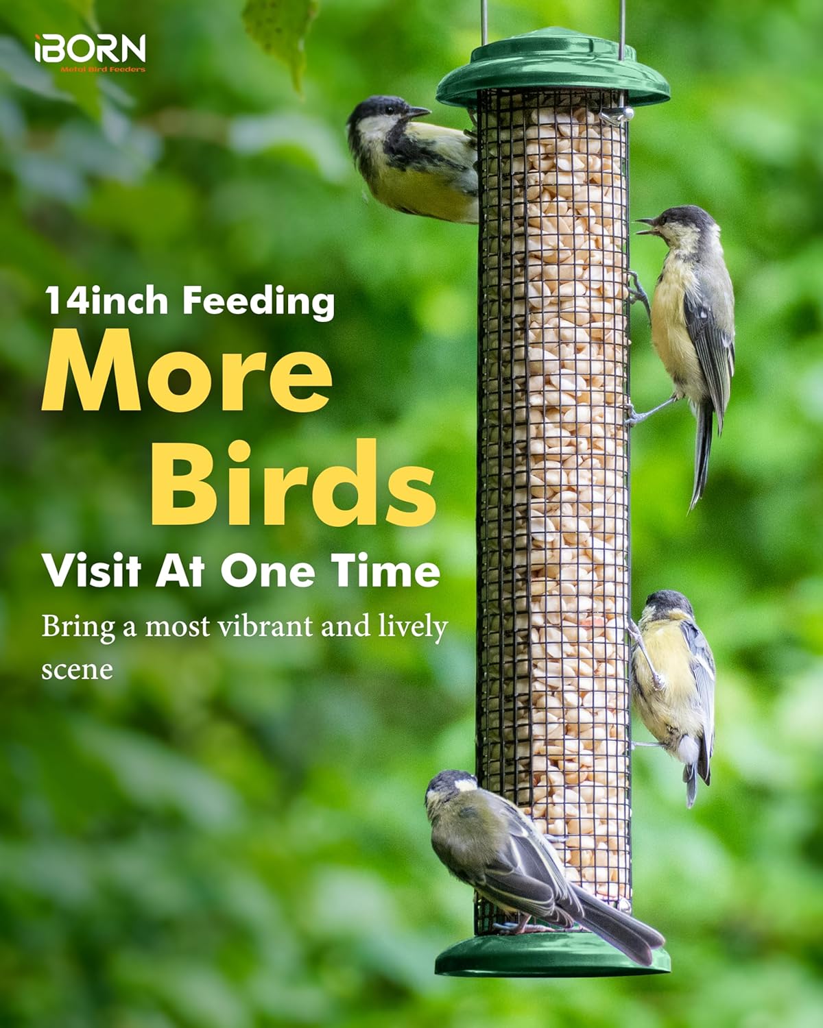iBorn Metal Peanut Bird Feeder for Outdoors - 14" Peanut & Sunflower Seed Feeder, Hanging Metal Mesh Mixed Seed Bird Feeder with Easy-Clean Design for Woodpeckers, Jays, Titmice,Green