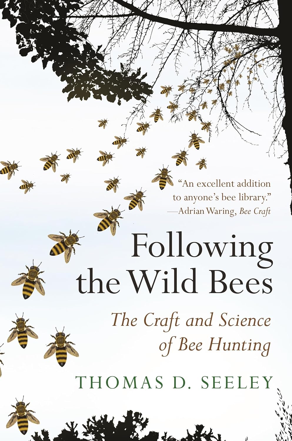 Following the Wild Bees: The Craft and Science of Bee Hunting