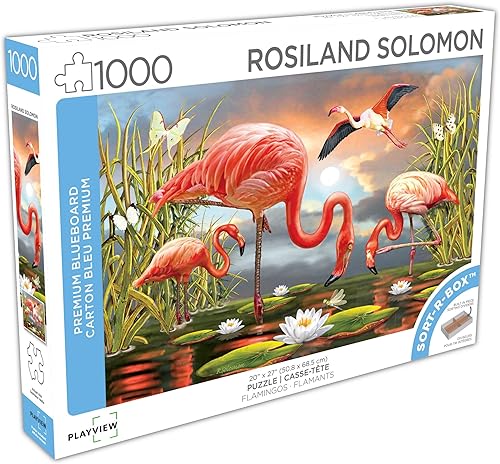 Miniatura 10 de KI Puzzles - Rompecabezas de 1000 piezas para adultos Karen Burke Flying Lessons Premium Blueboard Jigsaw en una caja Sort-R de 27 x 20