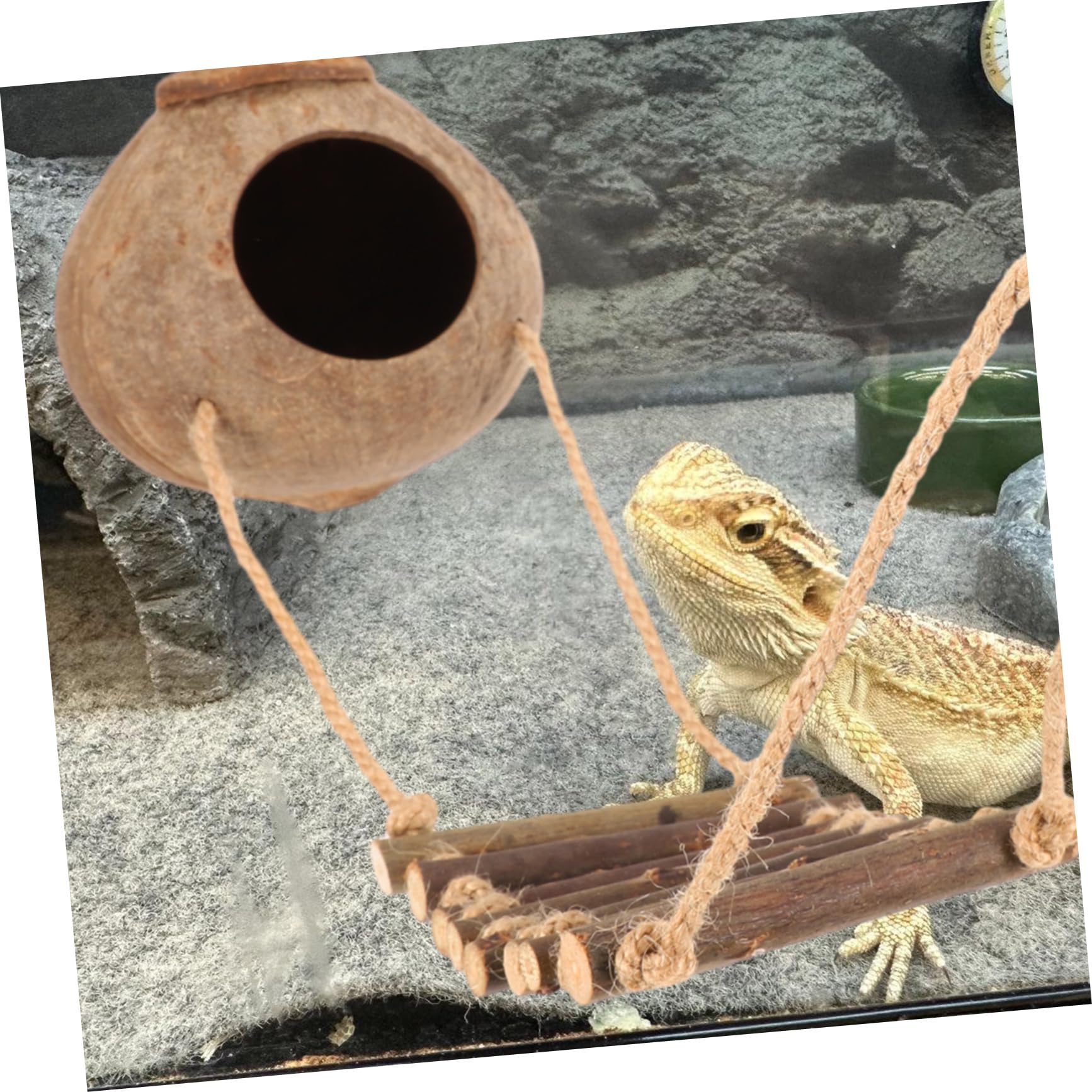 ヒョウモントカゲモドキに快適な空間を～レオパ用飼育ケージ（水槽）の選び方 │ 優しい熱帯魚さんサテライト 大型60cmレオパ ケージ 爬虫類 ケース  ヒョウモントカゲモドキ 飼育 初心者 セット 温度湿度計付き 飼育ケース 30/40cm, image size:1734x1734