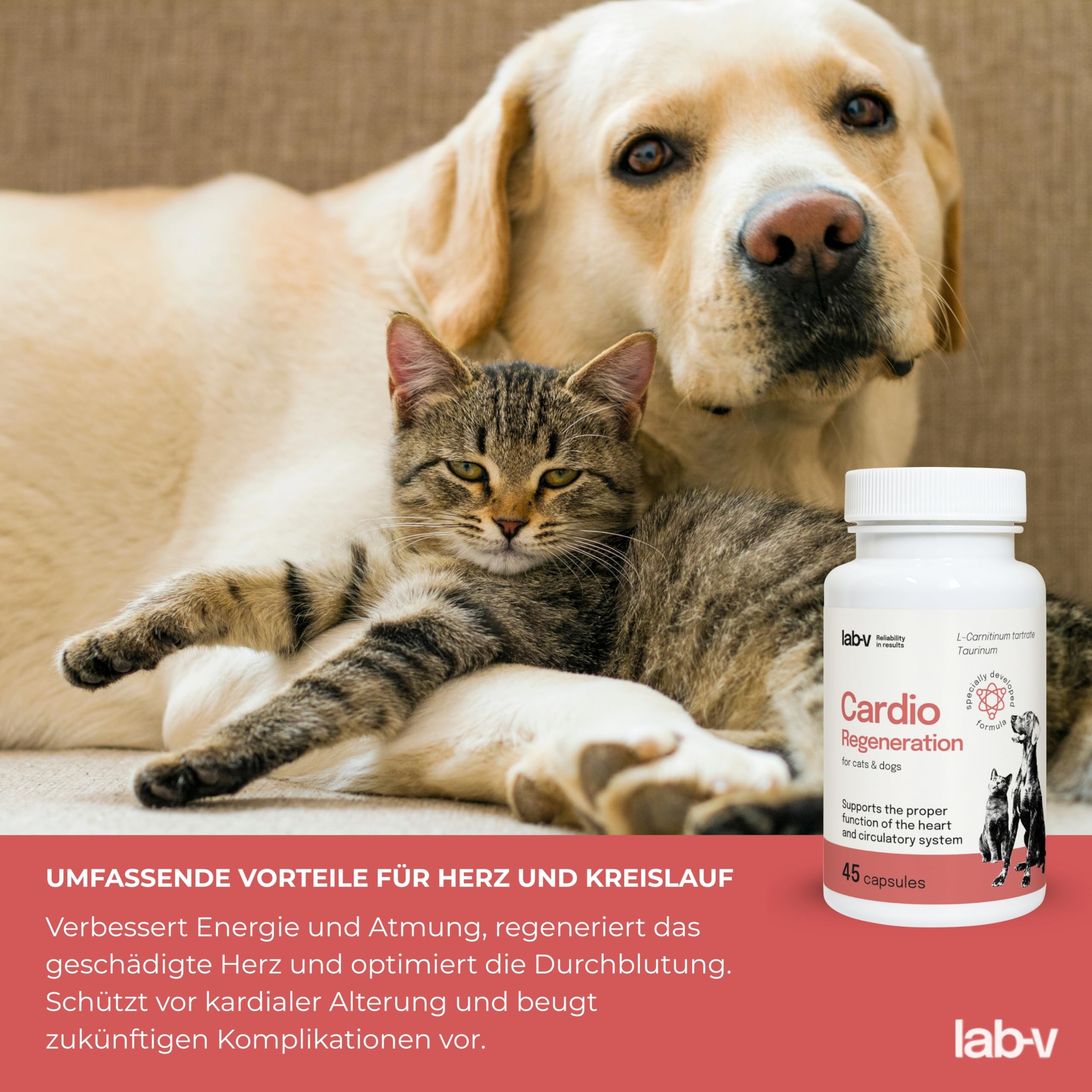 Cardio Regeneration Lab-V, 45 Kapseln, fortgeschrittene Herzunterstützung für Hunde und Katzen, tierärztliche Formel mit Taurin, L - Arginin und L - Carnitin für Hunde und Katzen, gesundes Herz