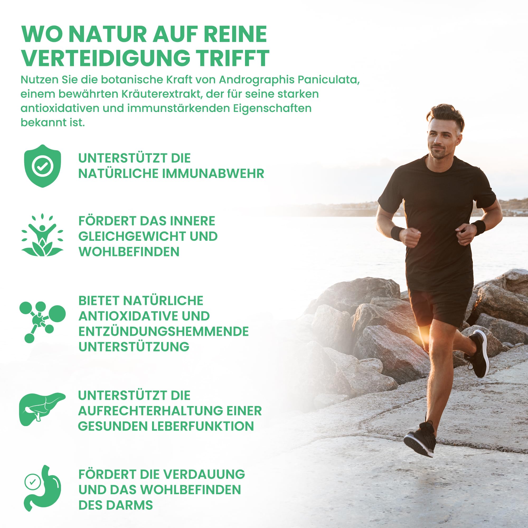 Andrographis paniculata | 8.000 mg Äquivalent | Hochdosiert 400 mg 20:1 Extrakt (10% Andrographolide) | 120 vegane Kapseln | GMP & Laborgeprüft
