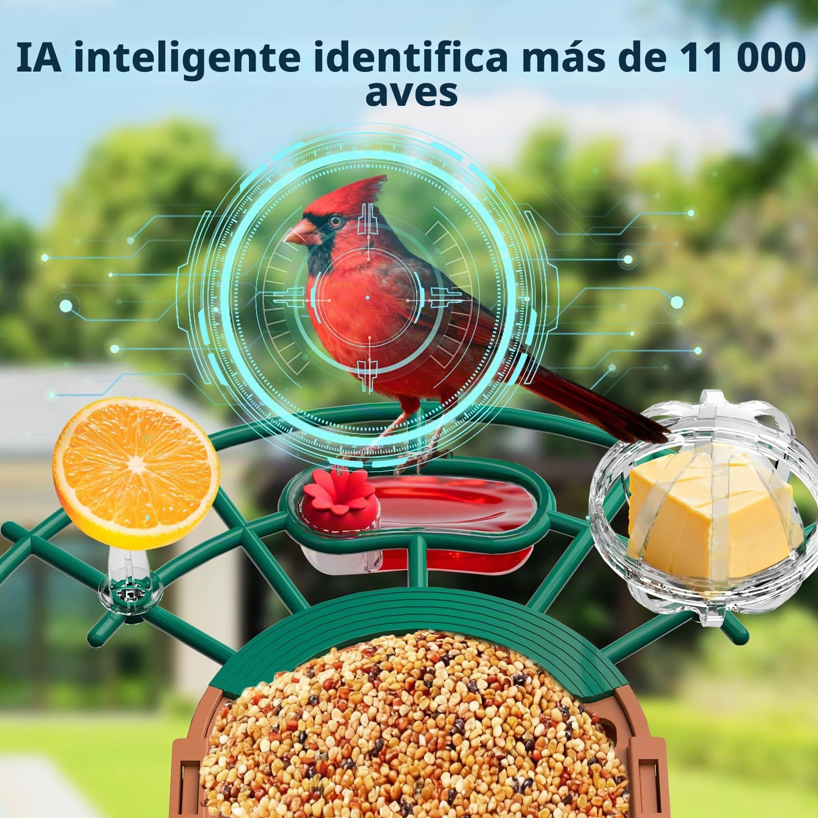 NIORSUN Comedero para pájaros con cámara 2K HD, funciona con energía solar, detección de aves AI, visión nocturna a todo color, notificación instantánea y grabación automática de vídeos de pájaros