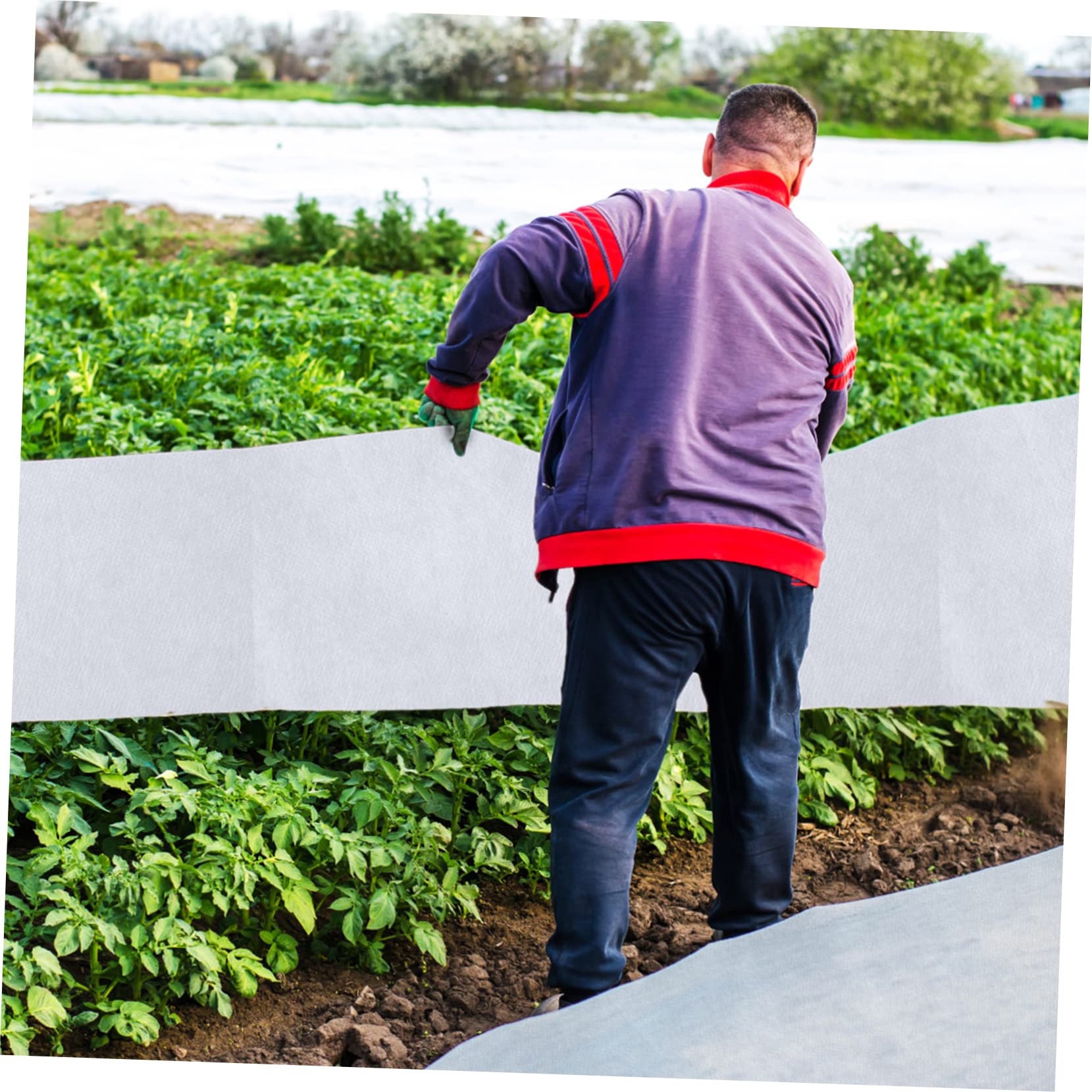HEMOTON Voile D’hivernage en Non-tissé Blanc pour 2 Pièces Plantes