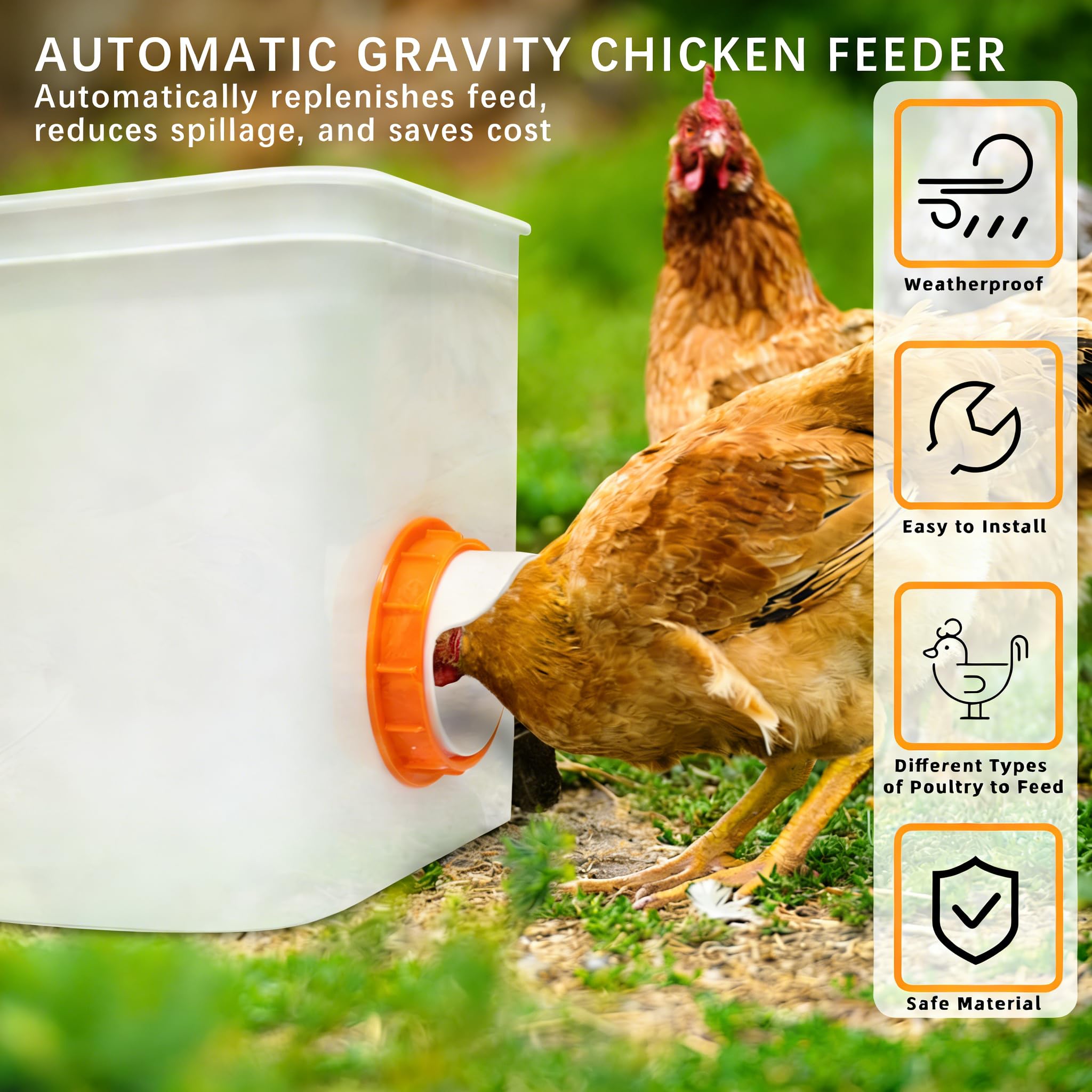 Comedero para pollo, sin residuos, 12 puertos, alimentador automático de aves de corral de 4 pulgadas con 12 cubiertas y 1 sierra de agujero, a prueba de lluvia, kits de comederos de pollo para