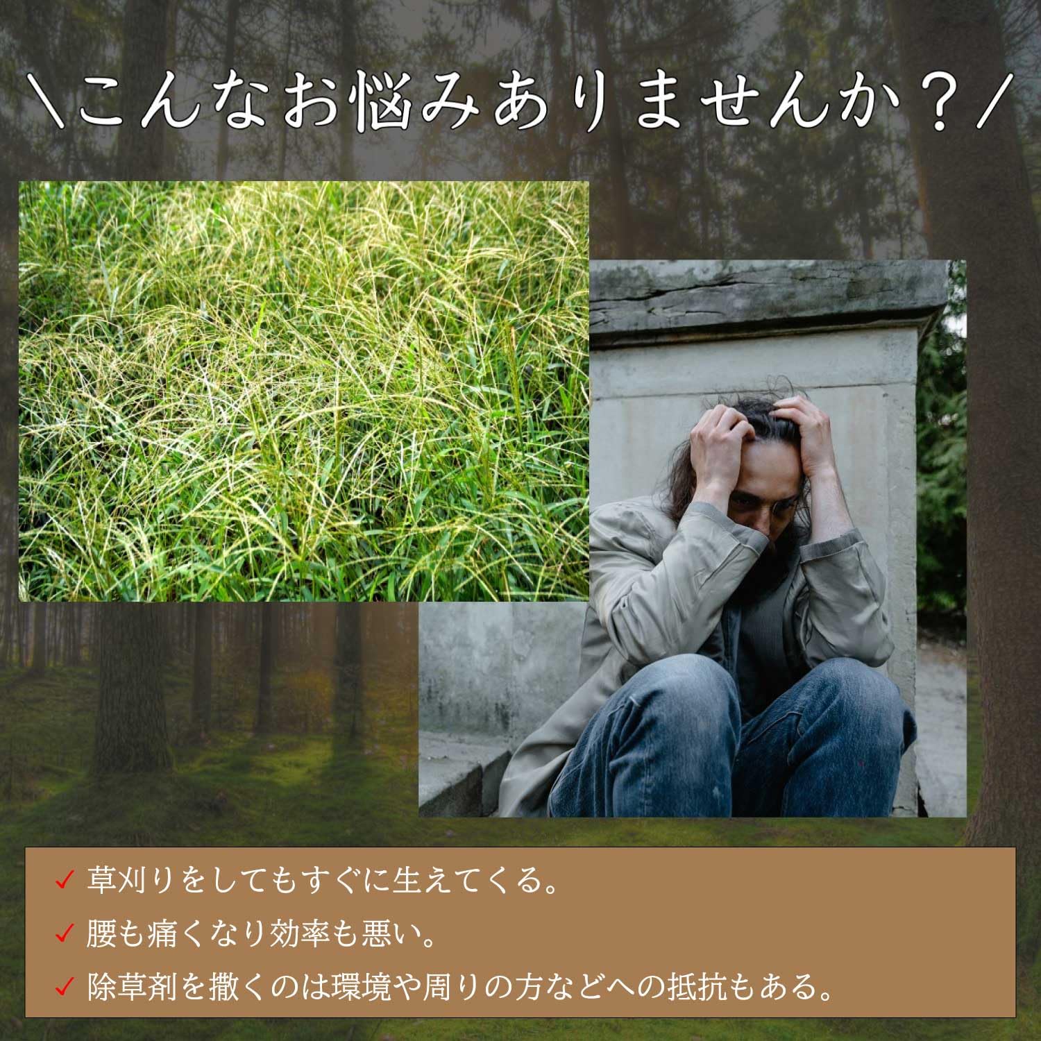 Amazon | 防草シート 600g/m2 耐年数20年 厚さ約3mm PET素材 不織布