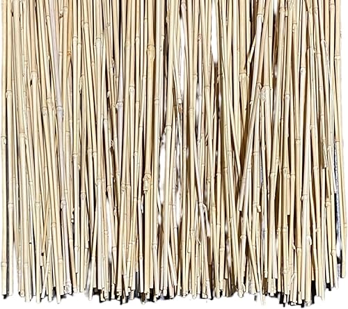 Miniatura 4 de Estacas de bambú fino natural de 5.5 pies  más de 5 pies de alto  Paquete de 20  Varios colores disponibles (verde)