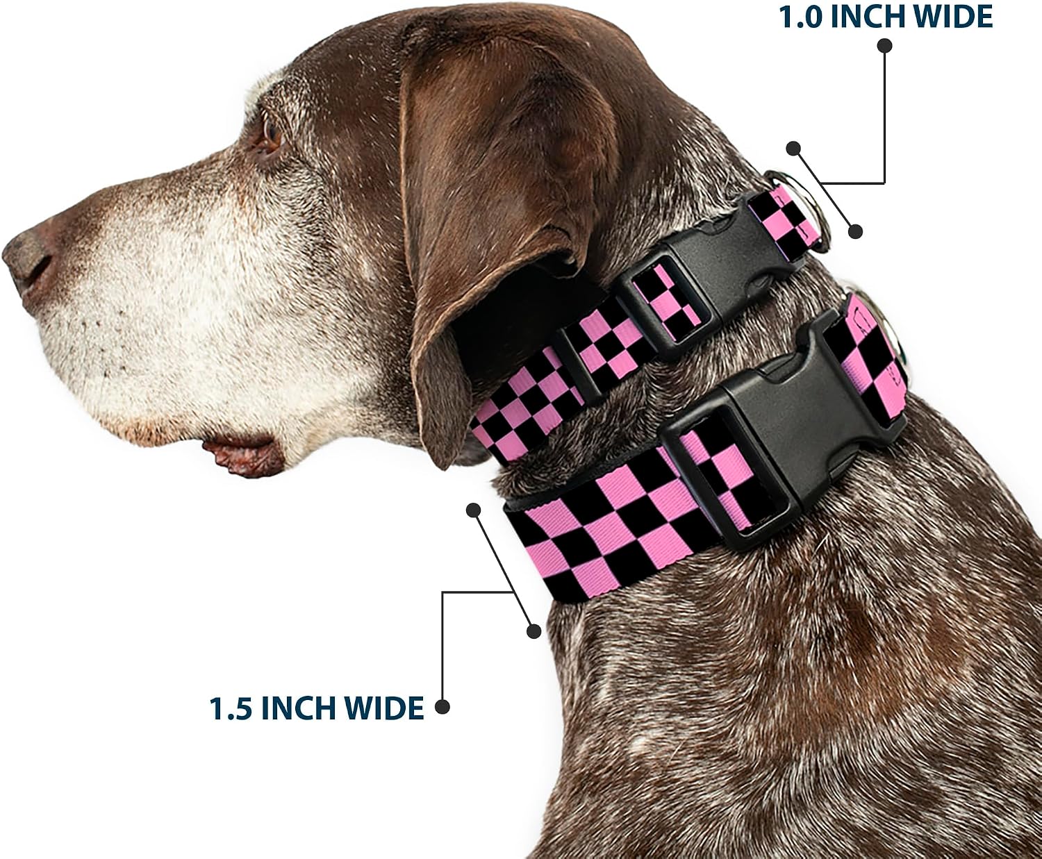 Buckle-Down Plastic Clip Collar - Checker Black/Baby Pink - 1.5" Wide - Fits 18-32" Neck - Large