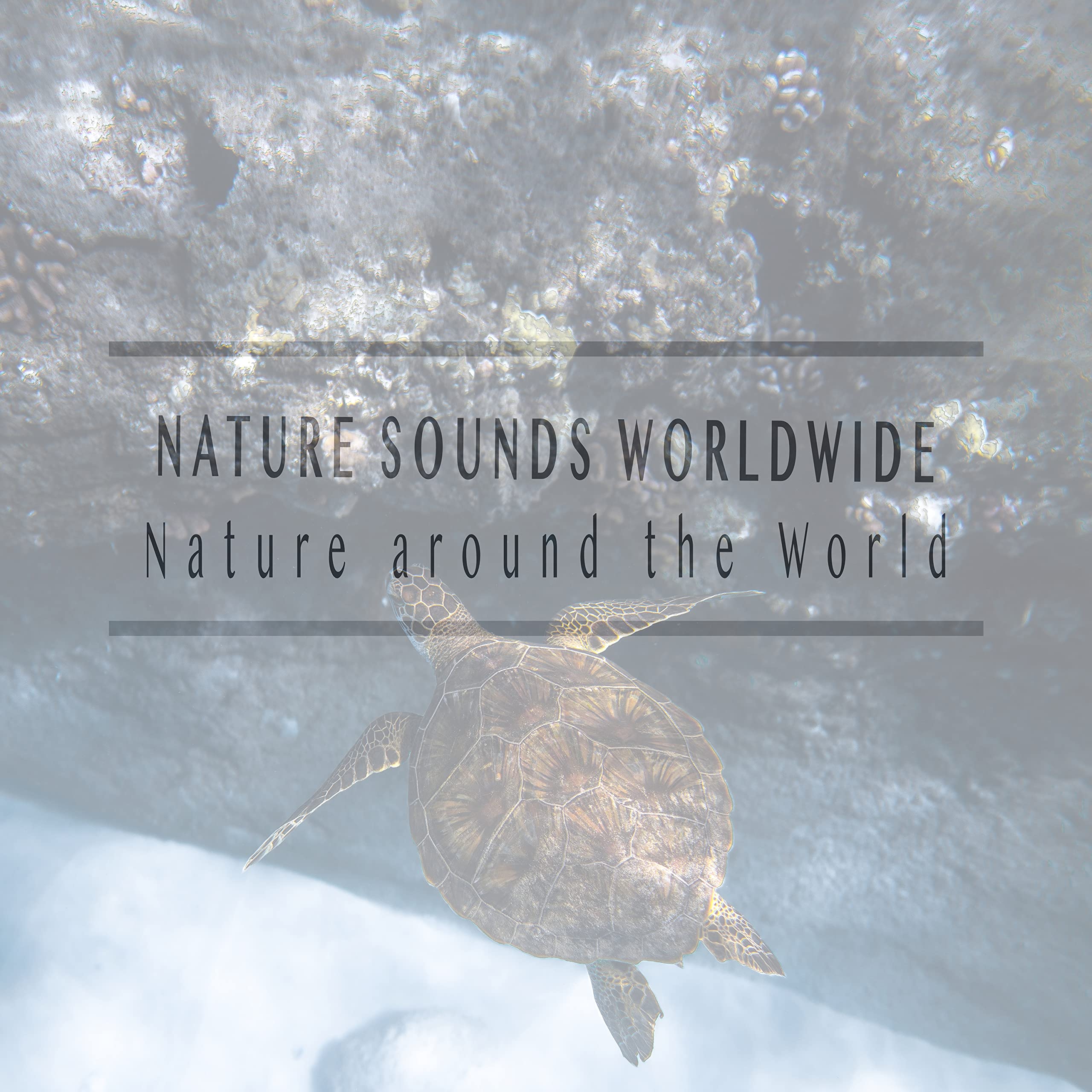 Nature Sounds Worldwide