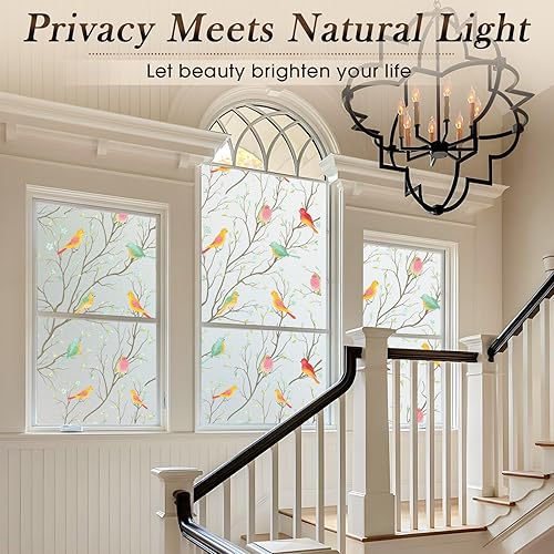 Miniatura 10 de Coavas GF-WF-90-2B - Lámina de privacidad no adhesiva para ventana, diseño decorativo de pájaros, con adhesión estática, adhesivos para hogar y