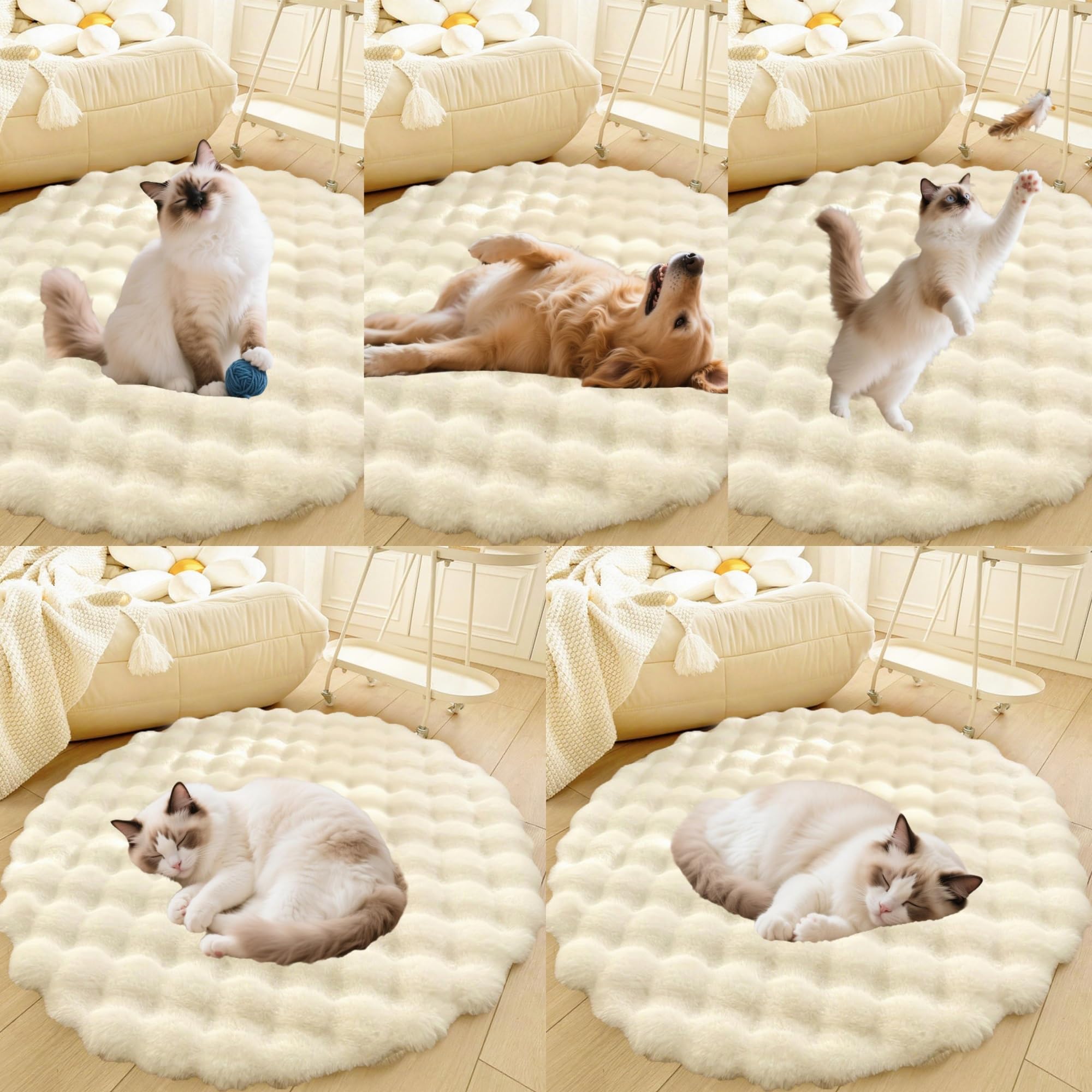 Divano per Cani E Gatti Con Fondo Antiscivolo, Tappeto Rotondo Lavabile, Moderno Letto A Pelo Lungo Da Posizionare Accanto Al Pavimento, Tappetino per Soggiorno(White,43in)