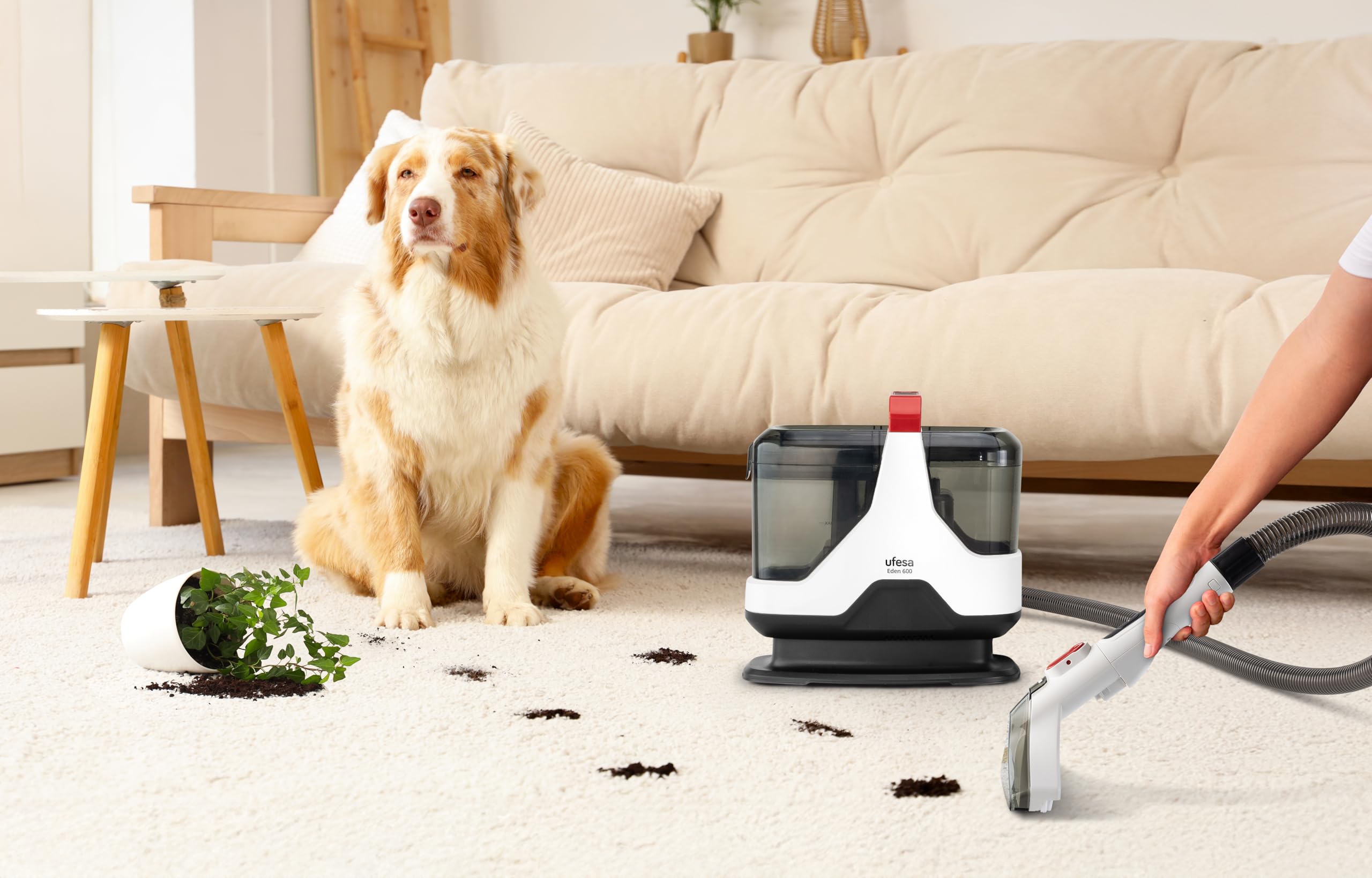 Ufesa Eden 600, Aspirateur à Eau pour Tissus d’ameublement, canapés, Voiture, Tapis et moquettes, Accessoire Nettoyeur de vitres, 600 W, aspirateur à Eau 15.000 KPa