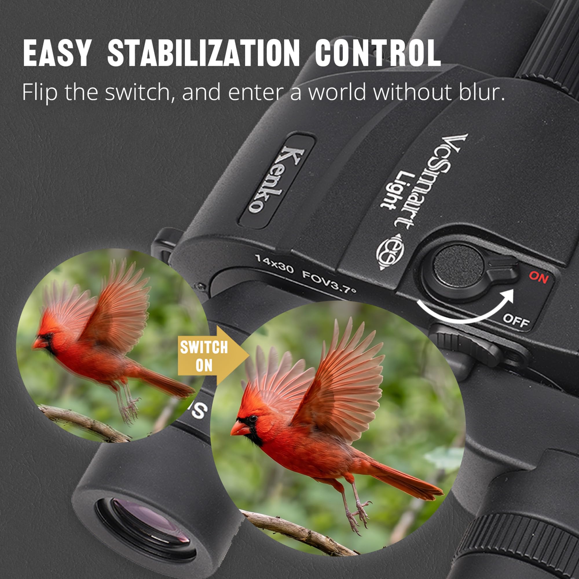 Amazon.com : Kenko Image stabilized Binoculars Vc Smart 14x30