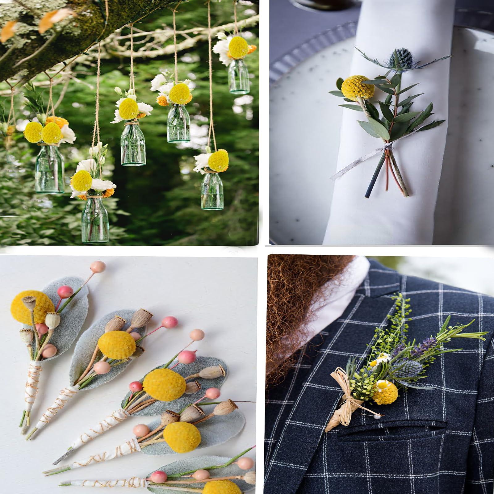 CITYES - Lot de 20 boules de fleurs séchées naturelles Craspedia Billy avec boutons de bille, bouquet de fleurs séchées pour arrangement floral, mariage, maison, grand vase, artisanat, décoration
