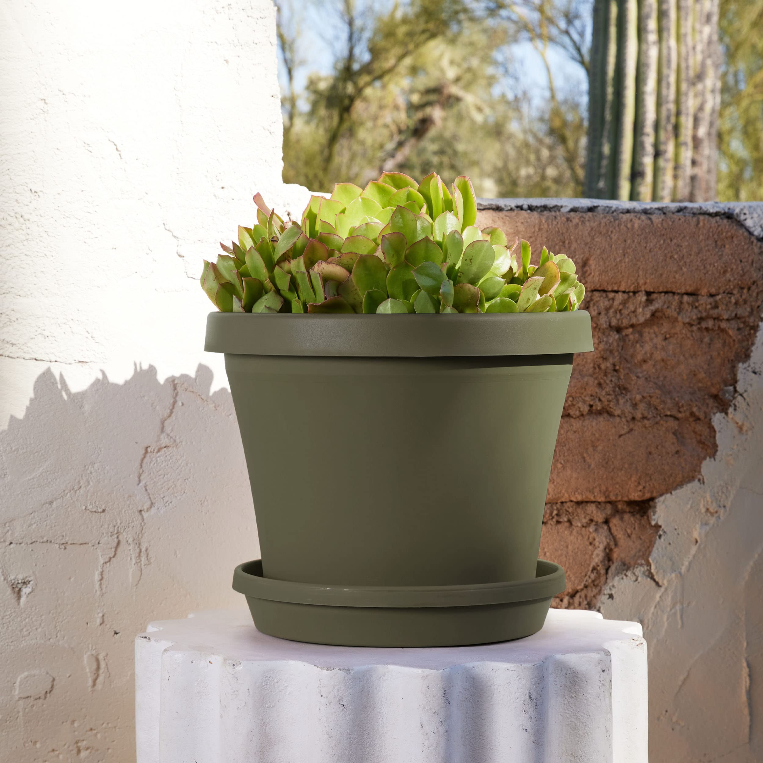 Bloem Terra Pot Planter: 14