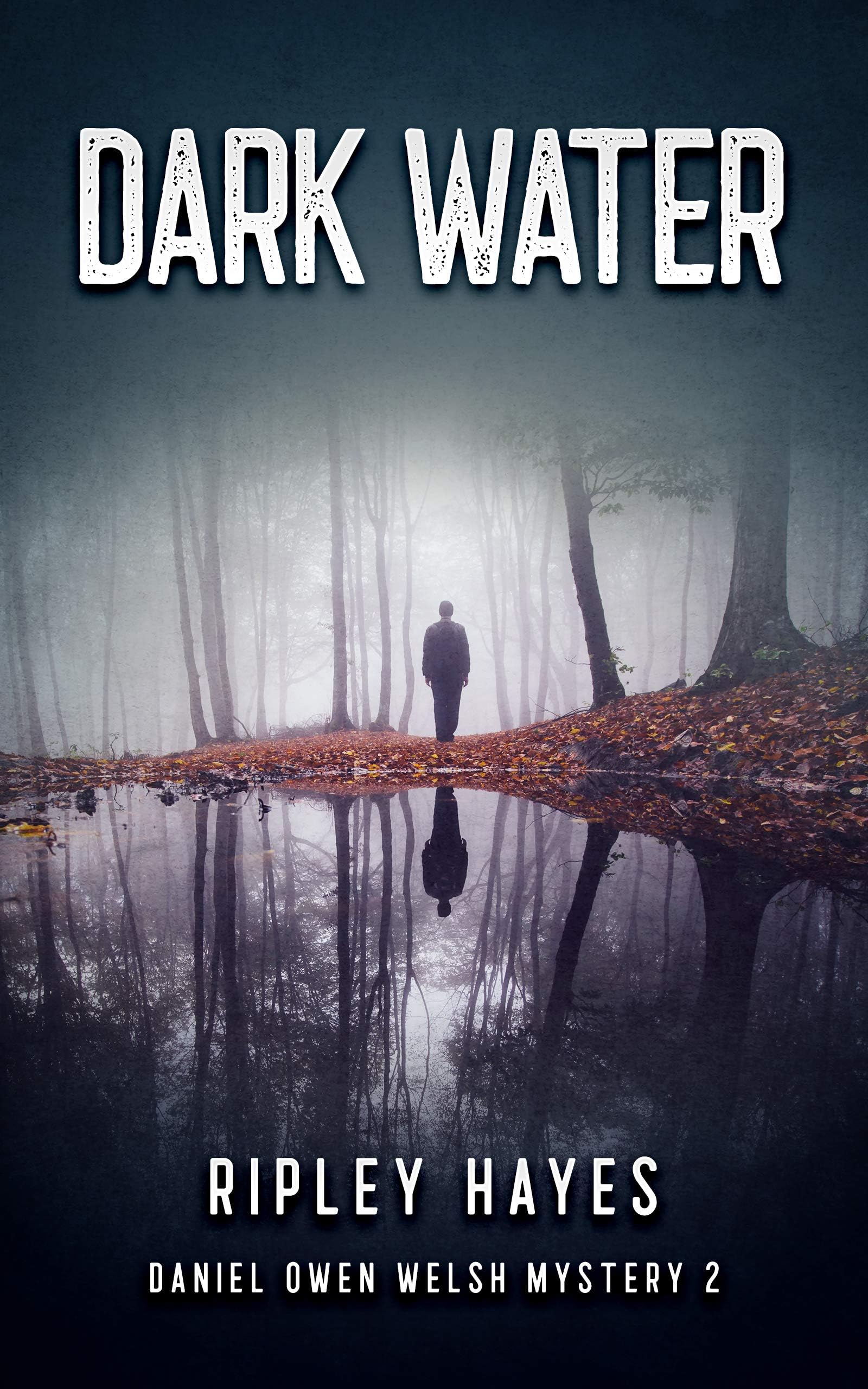 Dark Water: A Gay Mystery (Daniel Owen Welsh Mysteries Book 2)