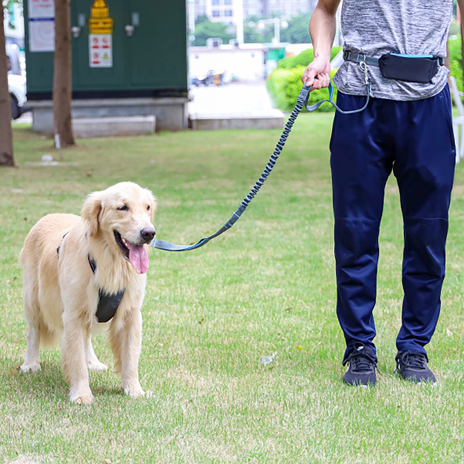 Correa de perro de cuerda resistente de nailon para mascotas, correa de plomo gruesa para perros grandes, medianos y cachorros pequeños para entrenamiento de control, correa de perro de mascotas,
