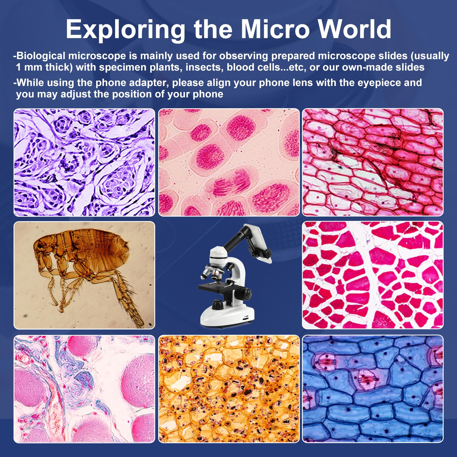 Microscope for Adults Kids Students, 100X-2000X Microscopes, Metal-Body Dual LED Illumination, Biological Compound Monocular Microscope Kit for School Lab, Homeschool w/Phone Adapter