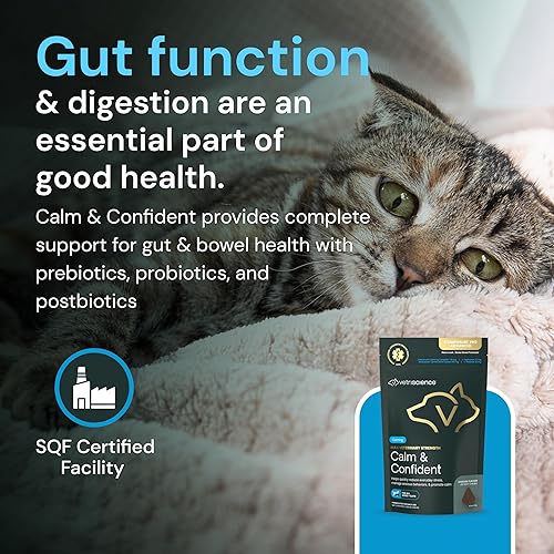 Miniatura 7 de VETRISCIENCE Max Veterinary Strength Calm & Confident Chews - Stress Supplement for Pets - Supports Brain Function for Cats & Dogs - with Lemon Balm