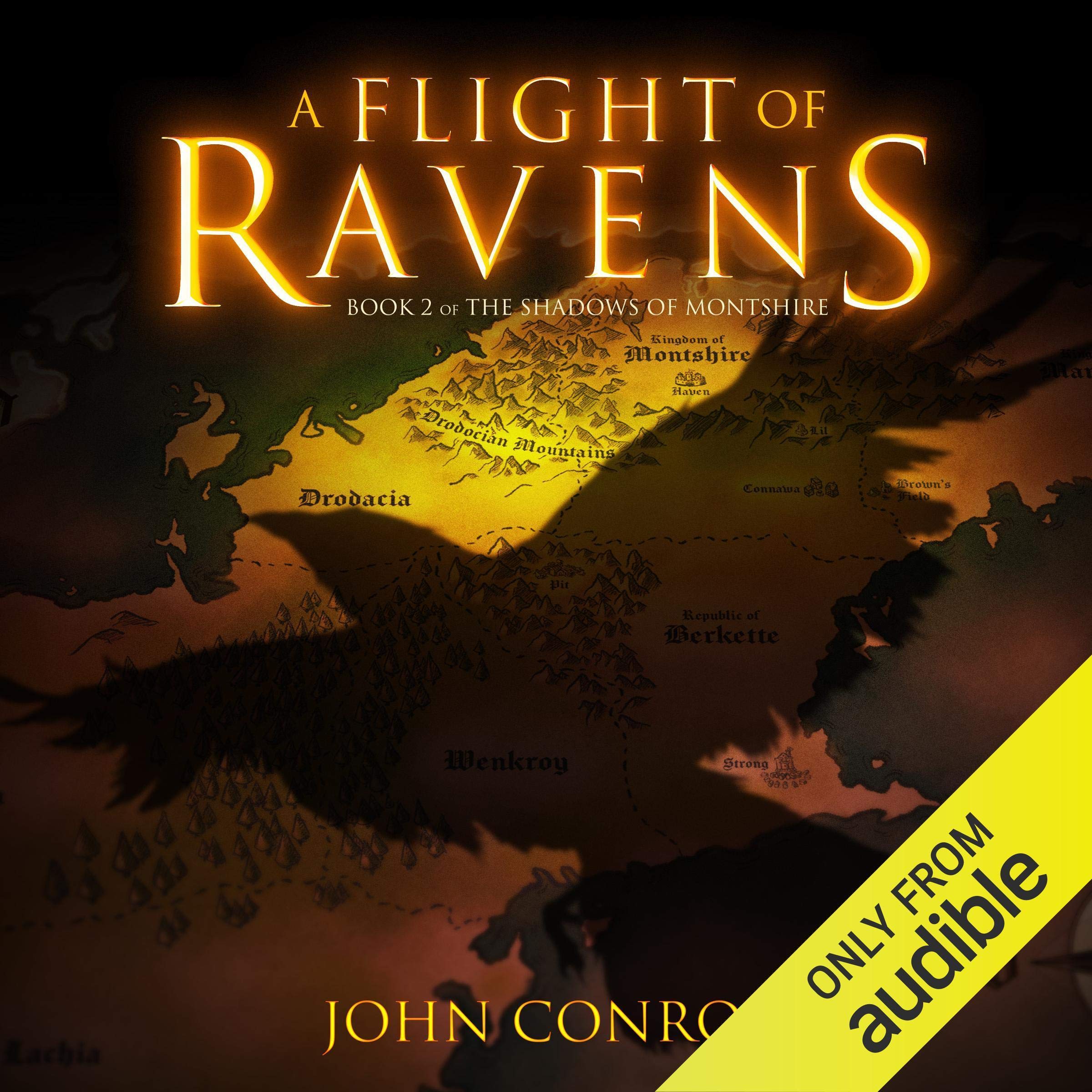 Cover art for A Flight of Ravens