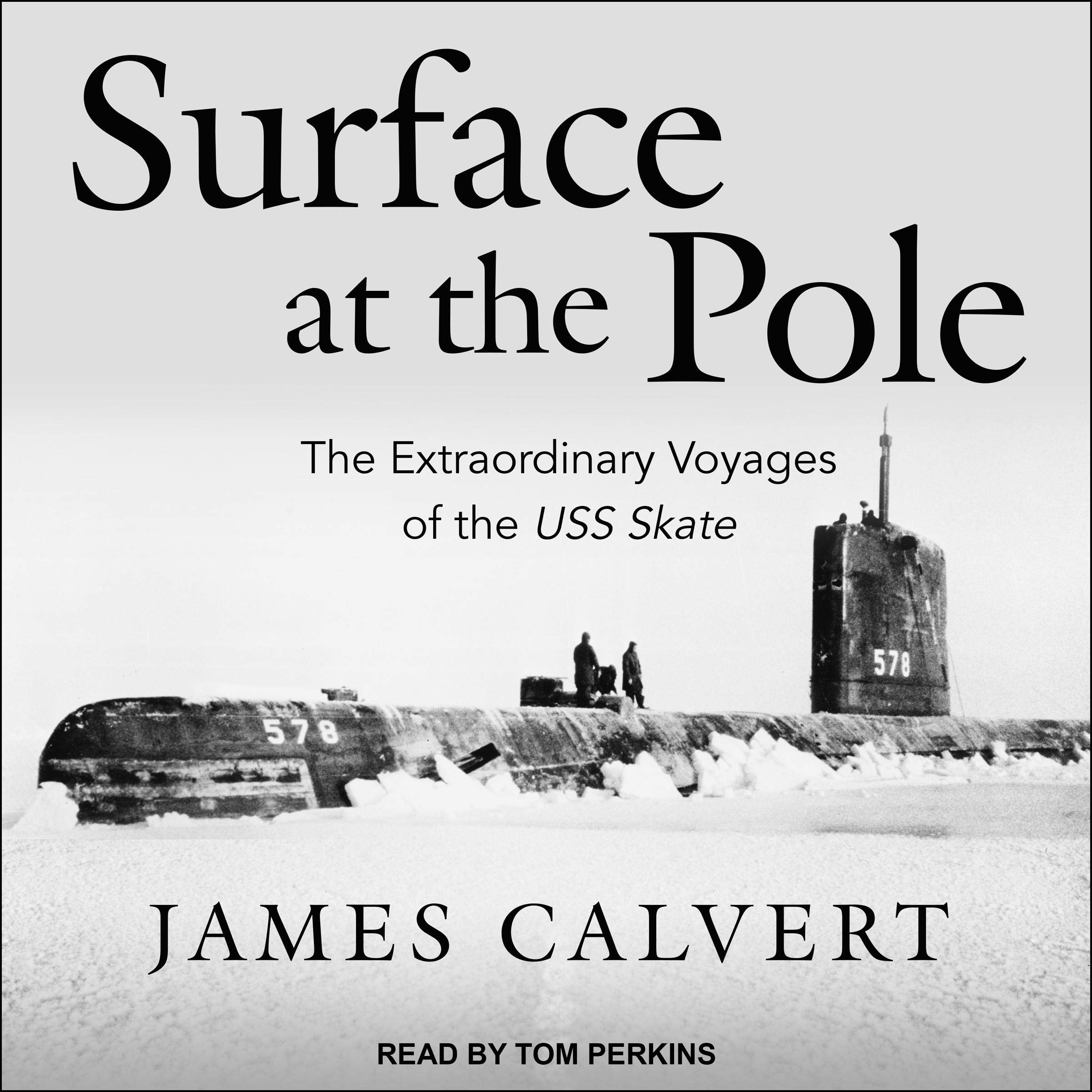 Cover art for Surface at the Pole