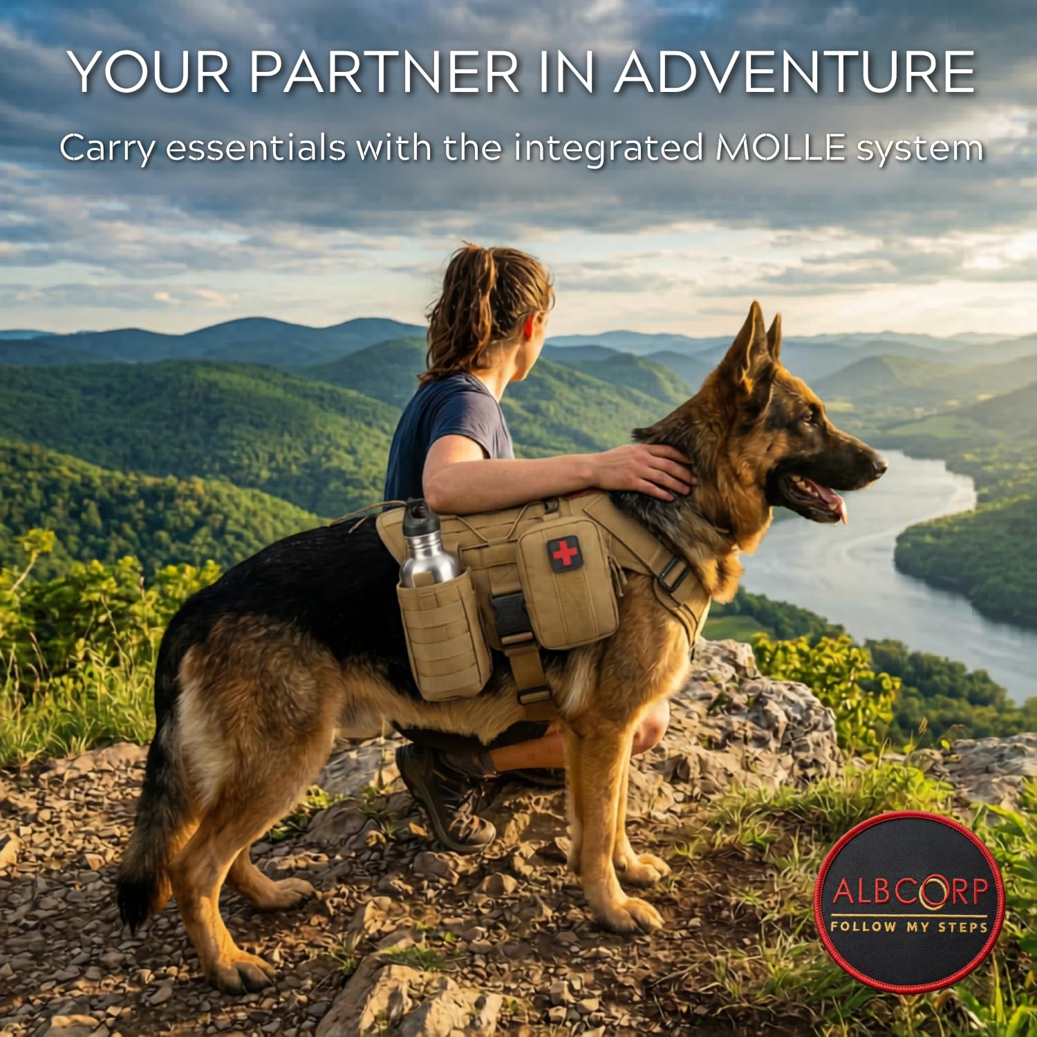 ALBCORP Arnés táctico para Perro Alcorp, Chaleco de Entrenamiento Militar K9, arnés para Perros de Trabajo, para Perros medianos, Grandes y XL