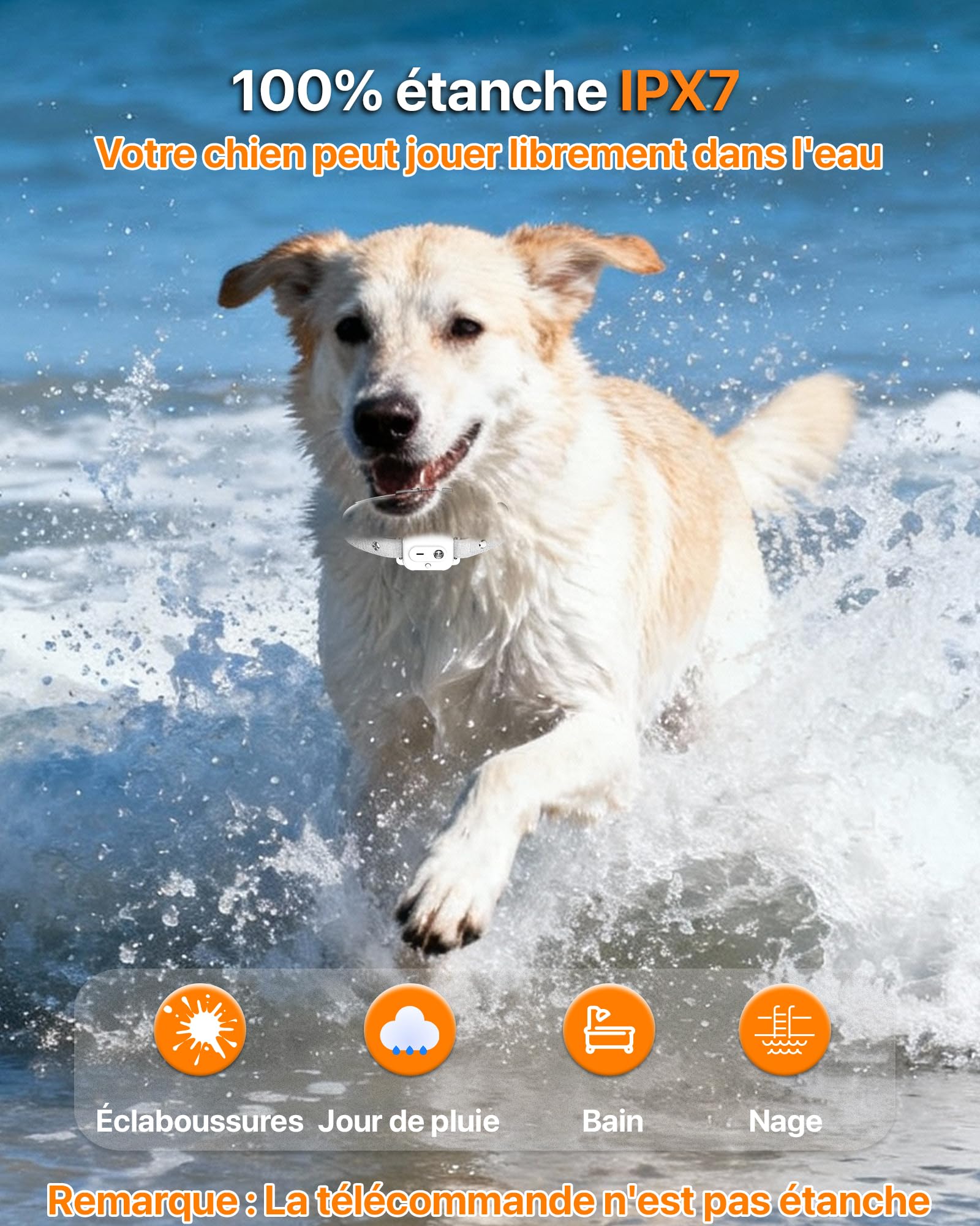 Collier De Dressage pour Chien,Collier Electrique pour Chien Portée de 3km,Mode Lumière Nocturne,1-50 Niveaux d’Entraînement, BIP Vibration Choc, Adapté à Tous Les Chiens,Étanche Rechargeable