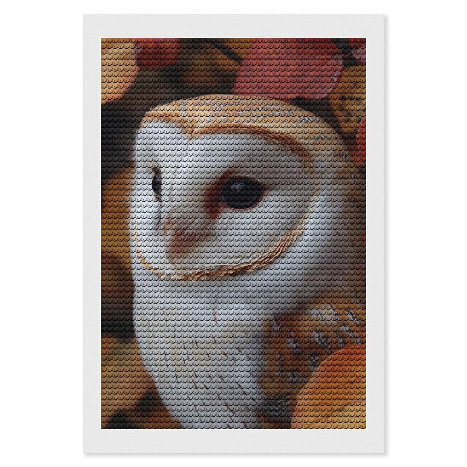 Junmoney Barn Owl Portrait in Autumn Leaves Diamond Painting Canvas Kit 8"x12", Leisure Activity, Aesthetic Room Decor, with Tool Kit, DIY, Gift
