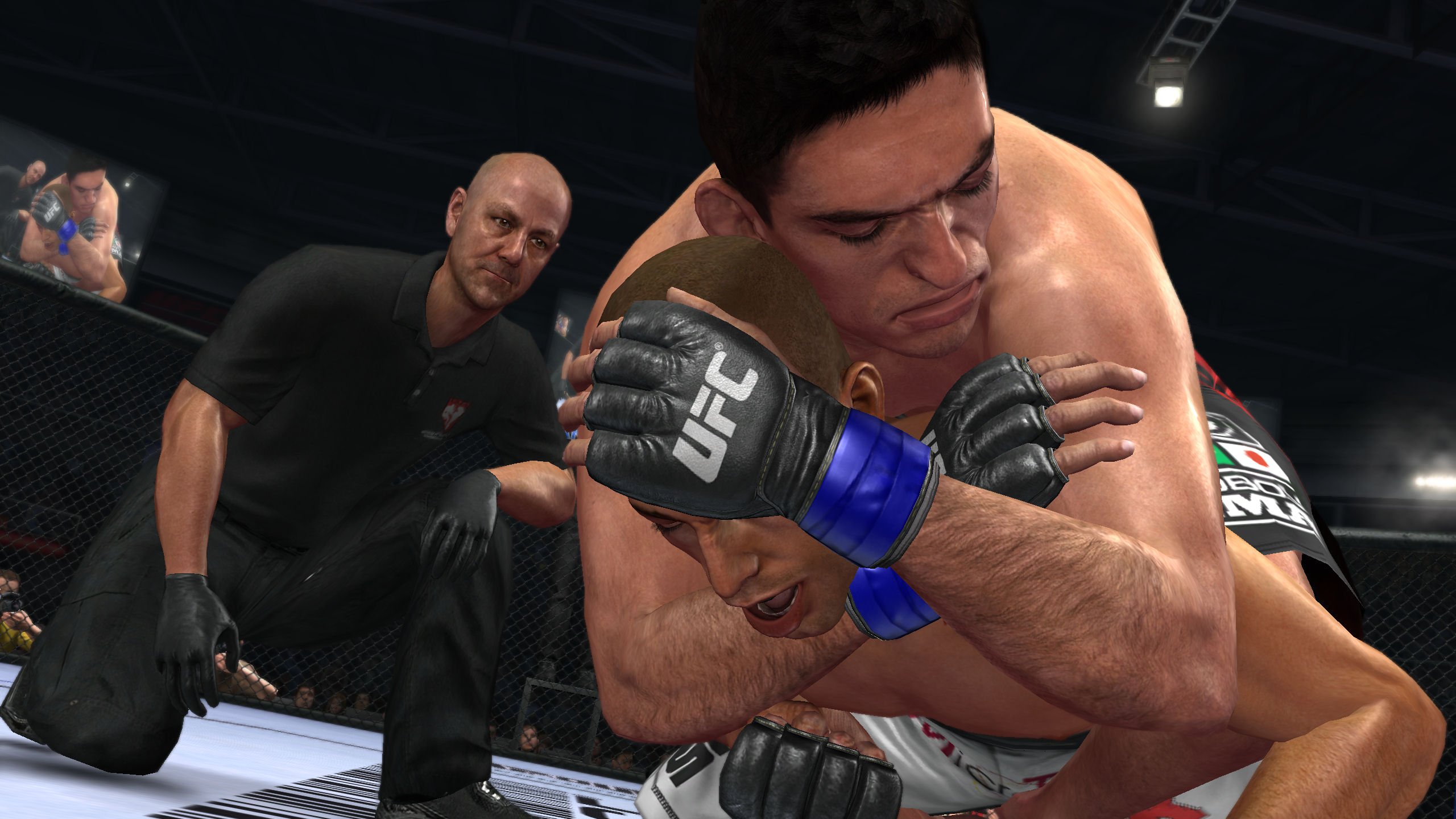 THQ UFC Undisputed 2010