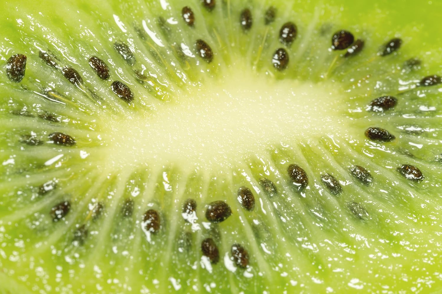 Dr Joe Lab Kiwi Seed Oil 16 oz Pure Natural Cold Pressed Unrefined Extra Virgin Kiwi Oil - for Hair Skin Body Nail and Beard - Moisturizing, Soothing, Hydrating, & Nourishing - Image 7