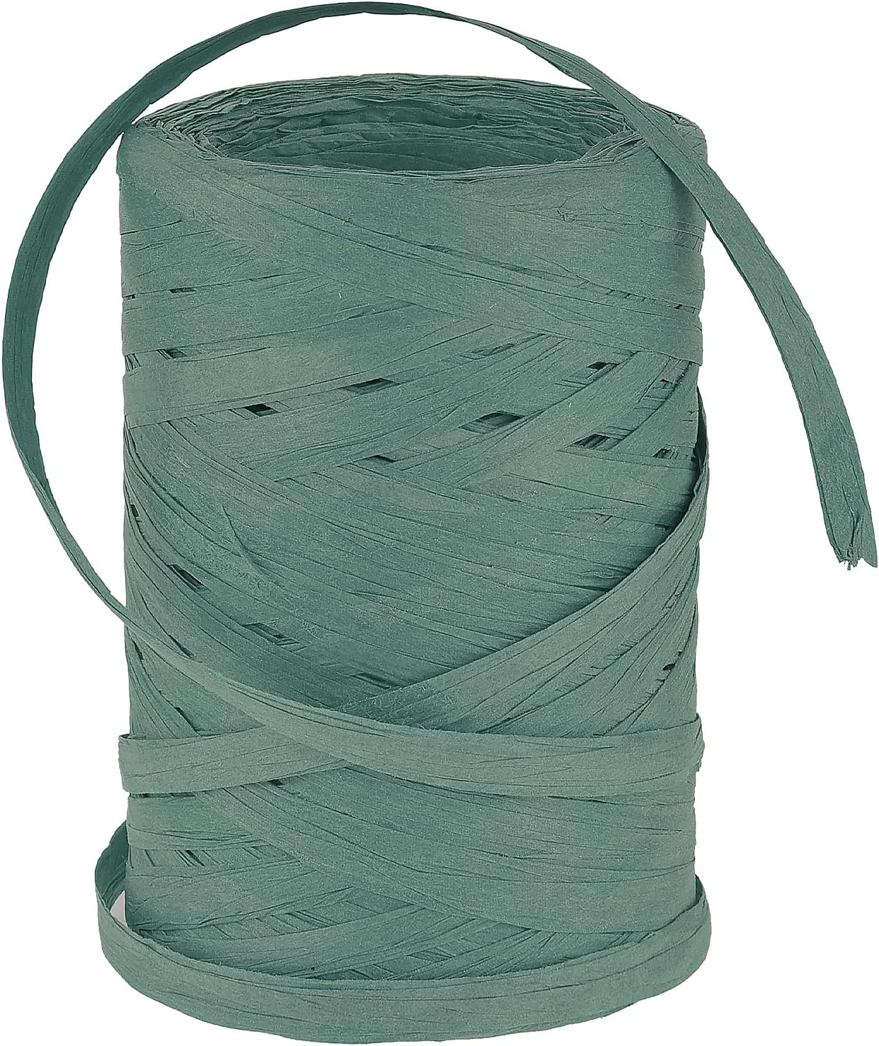 Amazon.com: Paper Mart Plum Raffia Ribbon, Matte Finish, 1/4 Inch Wide ...