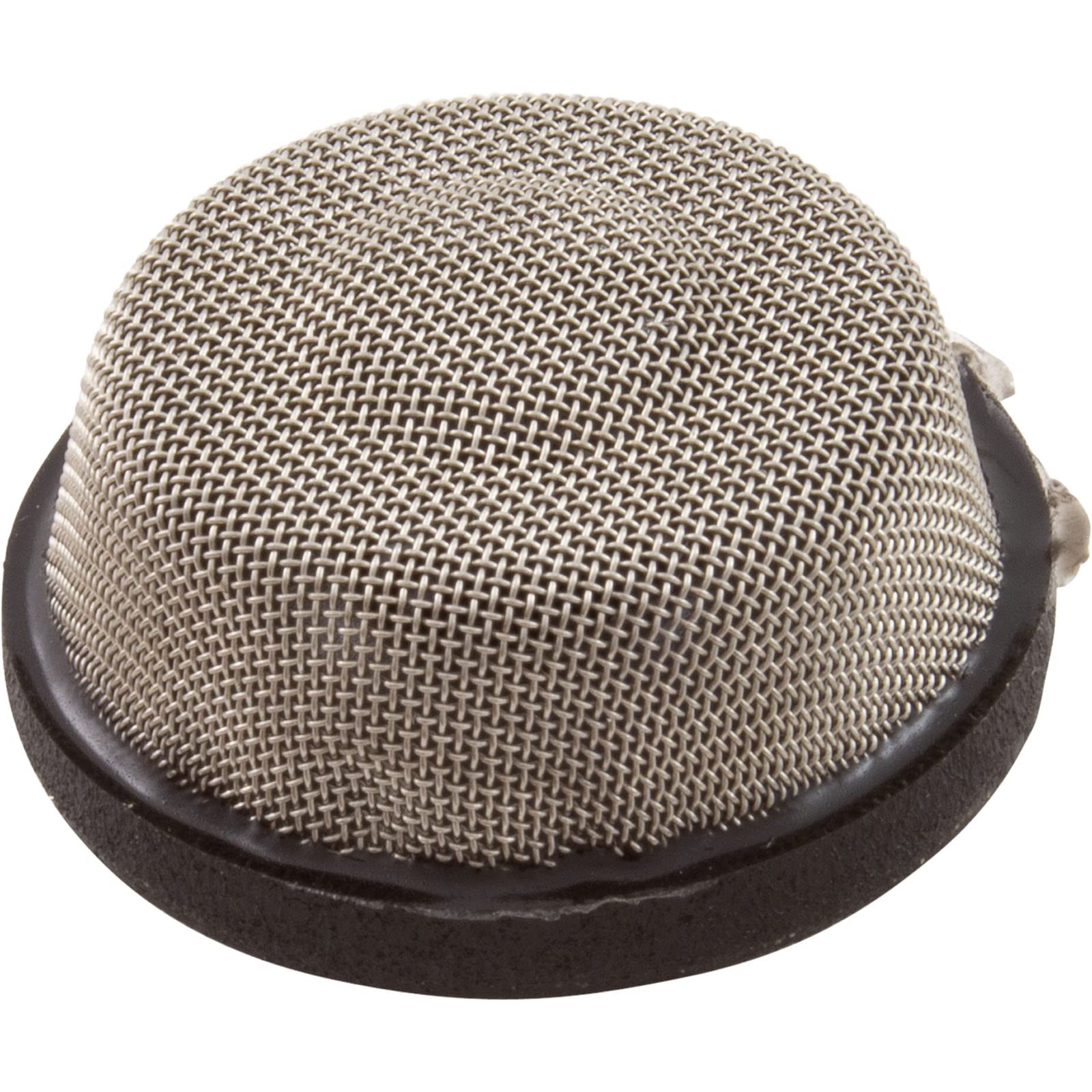 Strainer, PentairTriton II/C-3/TR100C/140C/40, Air Tube, 11/99+