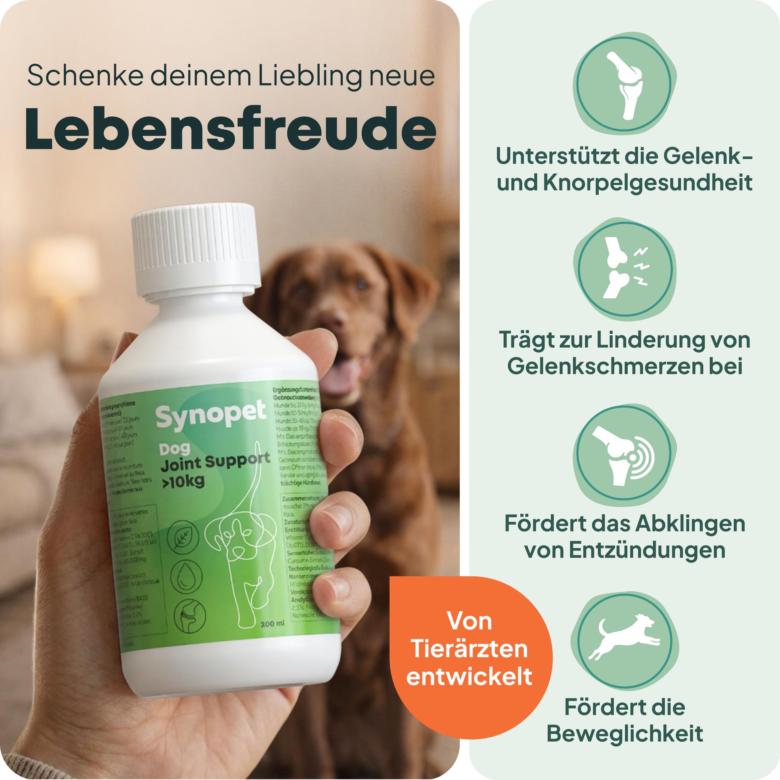 Dog Joint Support Grünlippmuschel Hund 200 ml I Flüssiges Gelenkpräparat für Hunde I Mit Curcumin & Schwarzem Johannisbeerblatt I Unterstützt Knorpel & Beweglichkeit
