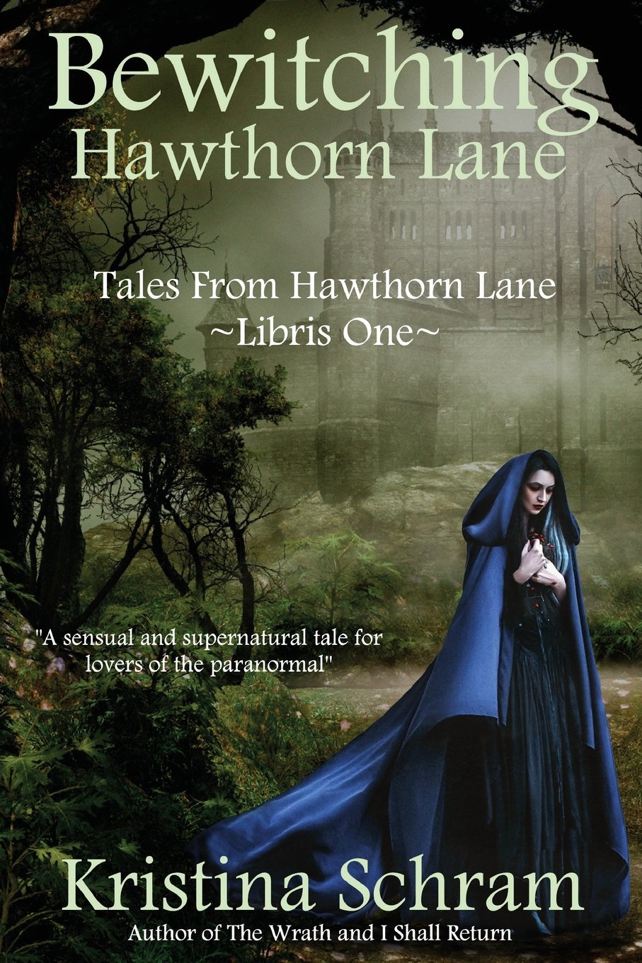 Cover of Bewitching Hawthorn Lane