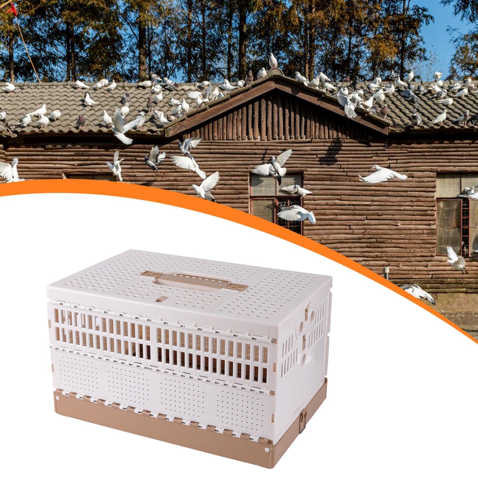 Colcolo Jaula para Palomas, Caja de Transporte, para Exteriores, Jaula de Viaje Plegable para pájaros, Caja Nido para Palomas, para el Transporte y liberación