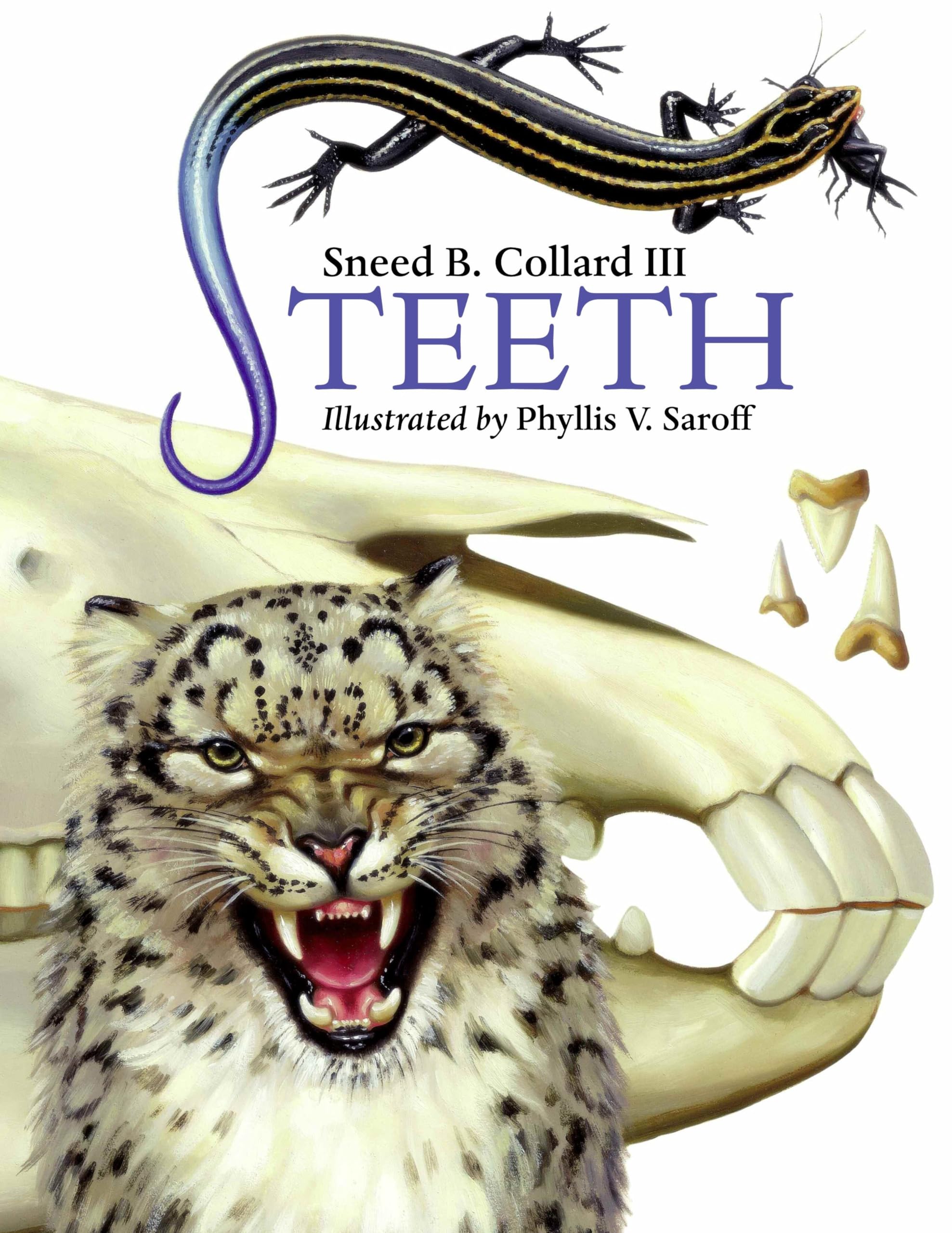 Teeth Paperback – February 1, 2008