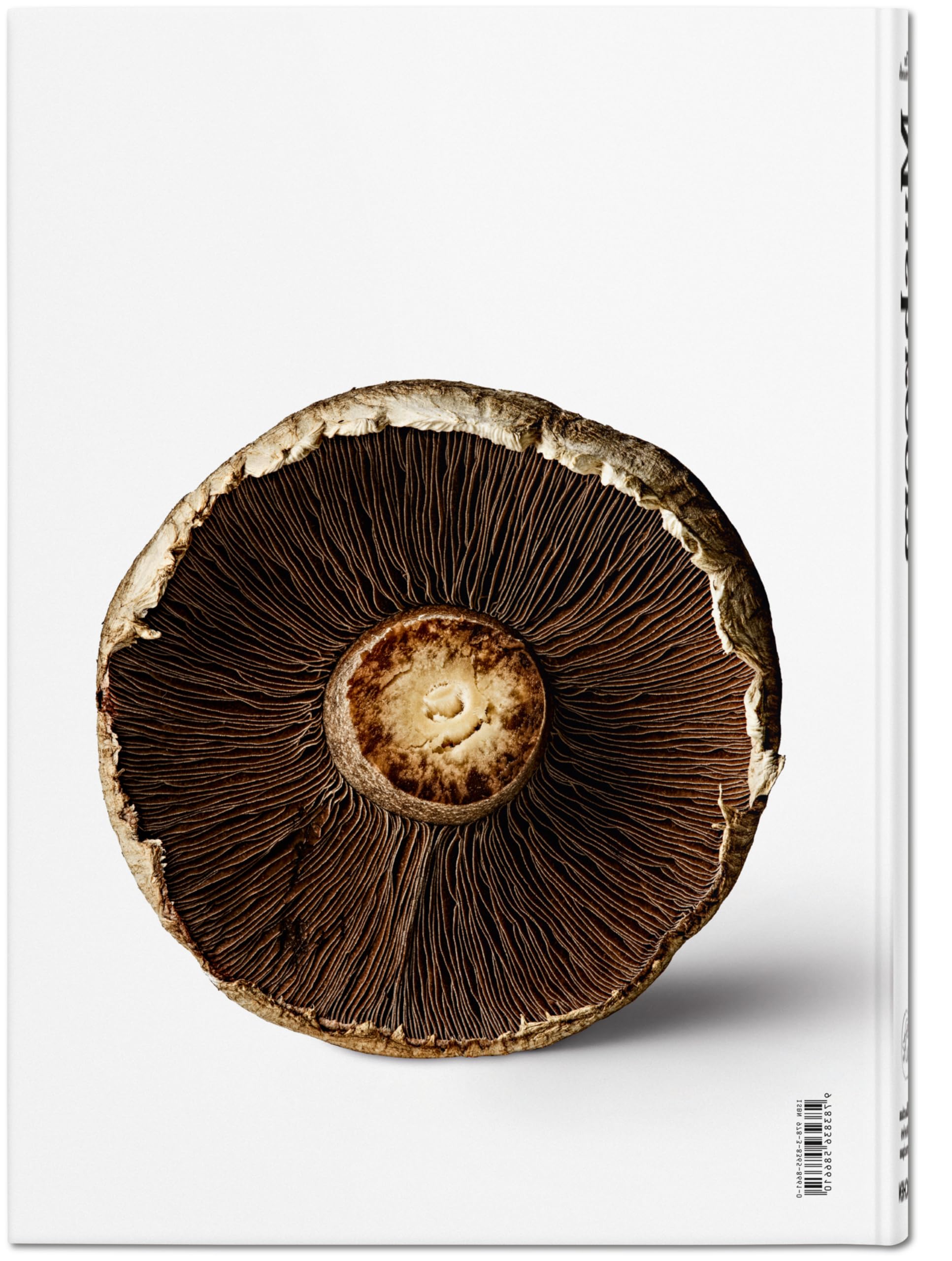 The Gourmand's Mushroom: A Collection of Stories and Recipes