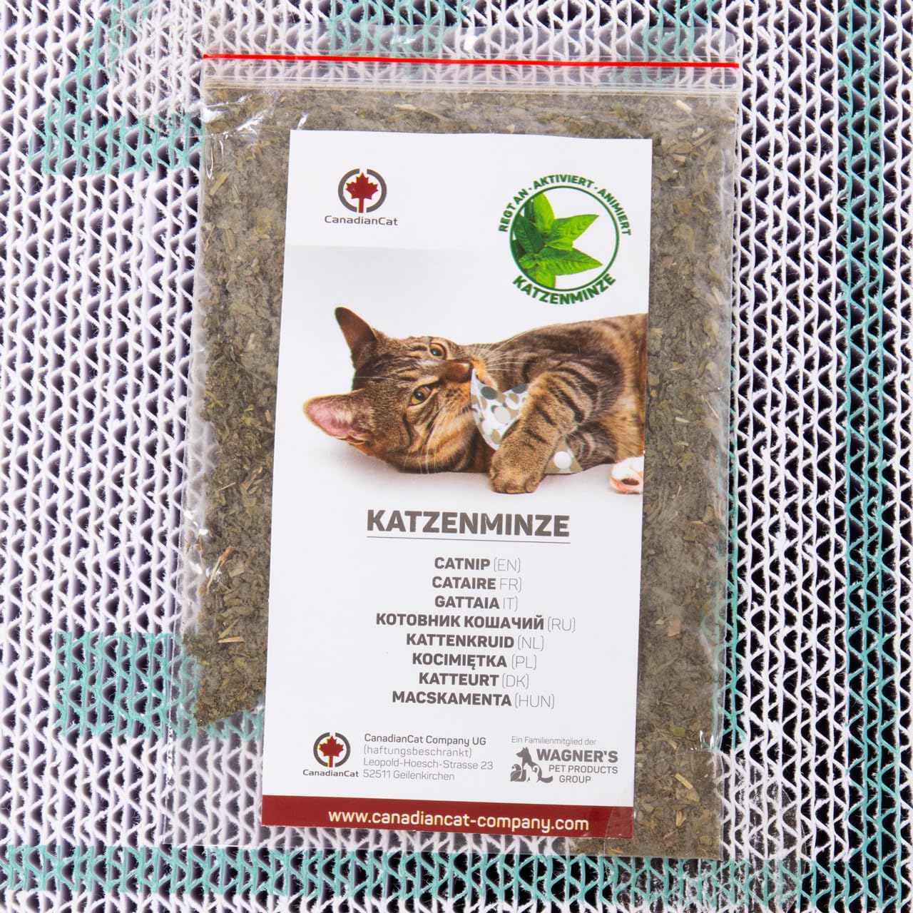 CanadianCat Company | Kratzbrett Kratzpappe MEGA SPARPACK XXL, Orbit und Sattelite 2.0 im Set, mit Katzenminze, Qualitäts-Pappe, türkis, 2 Kratzmöbel/Kratzbretter