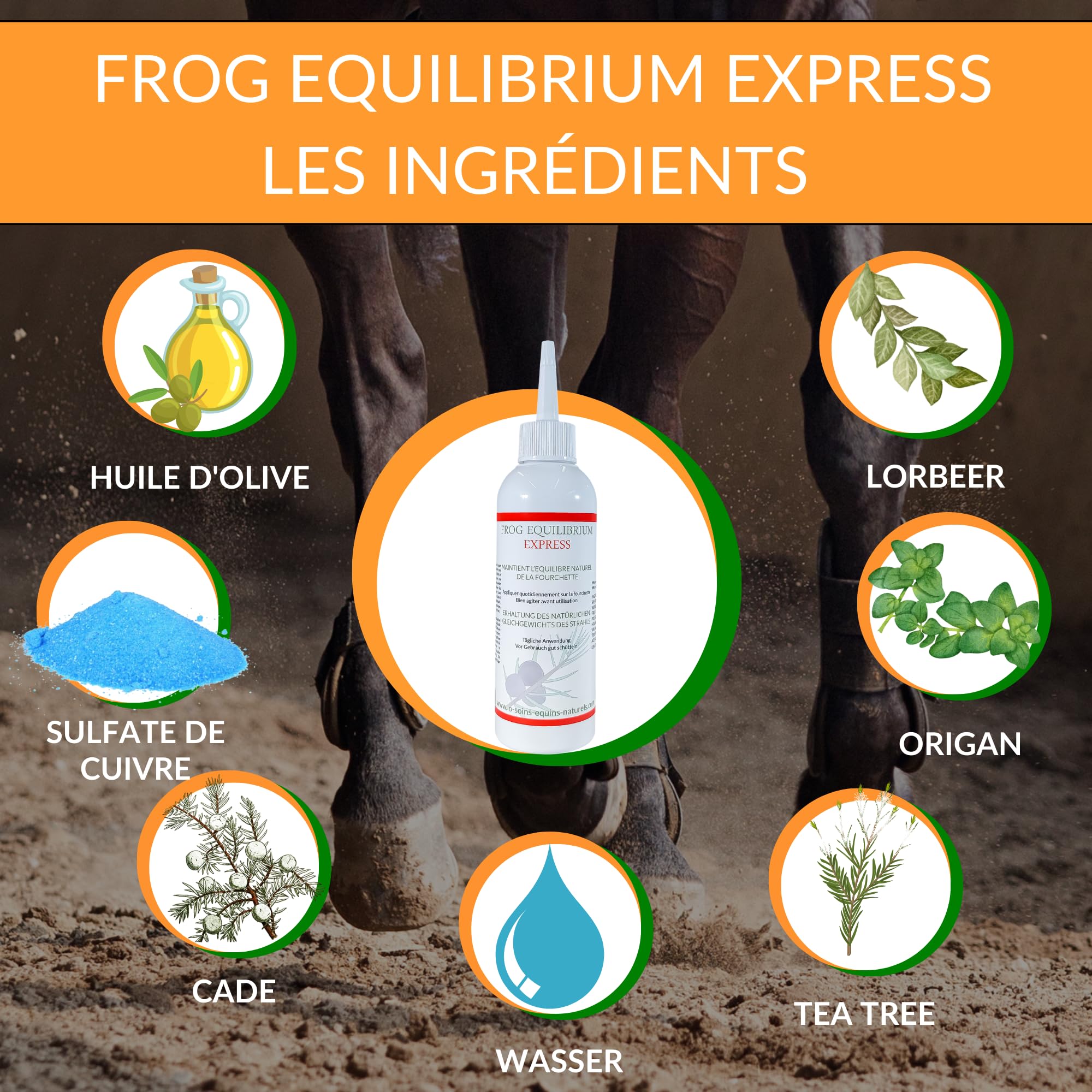 Frog Equilibrium Express - Soin Naturel réparateur et Protecteur des fourchettes pour Cheval - Retour Rapide à l'état physiologique (125 ML)