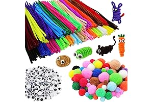 862 pcs Premium Pipecleaners Craft Assortment, Pipe Cleaners and Pompoms for Kids, Toddlers Crafts Supplies