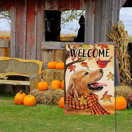 Miniatura 6 de Selmad Bandera decorativa de jardín con texto en inglés "Welcome Fall Golden Retriever", diseño de pájaro rojo con hojas de arce, para el hogar,